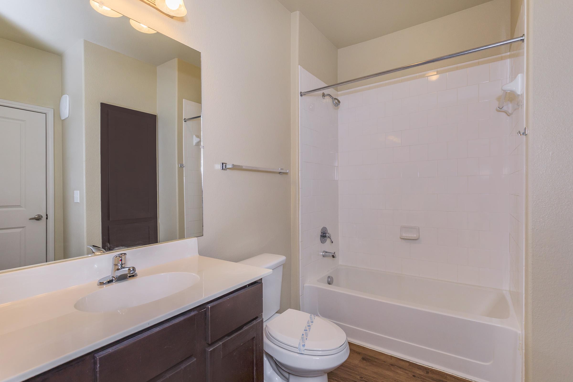 a shower that has a sink and a mirror