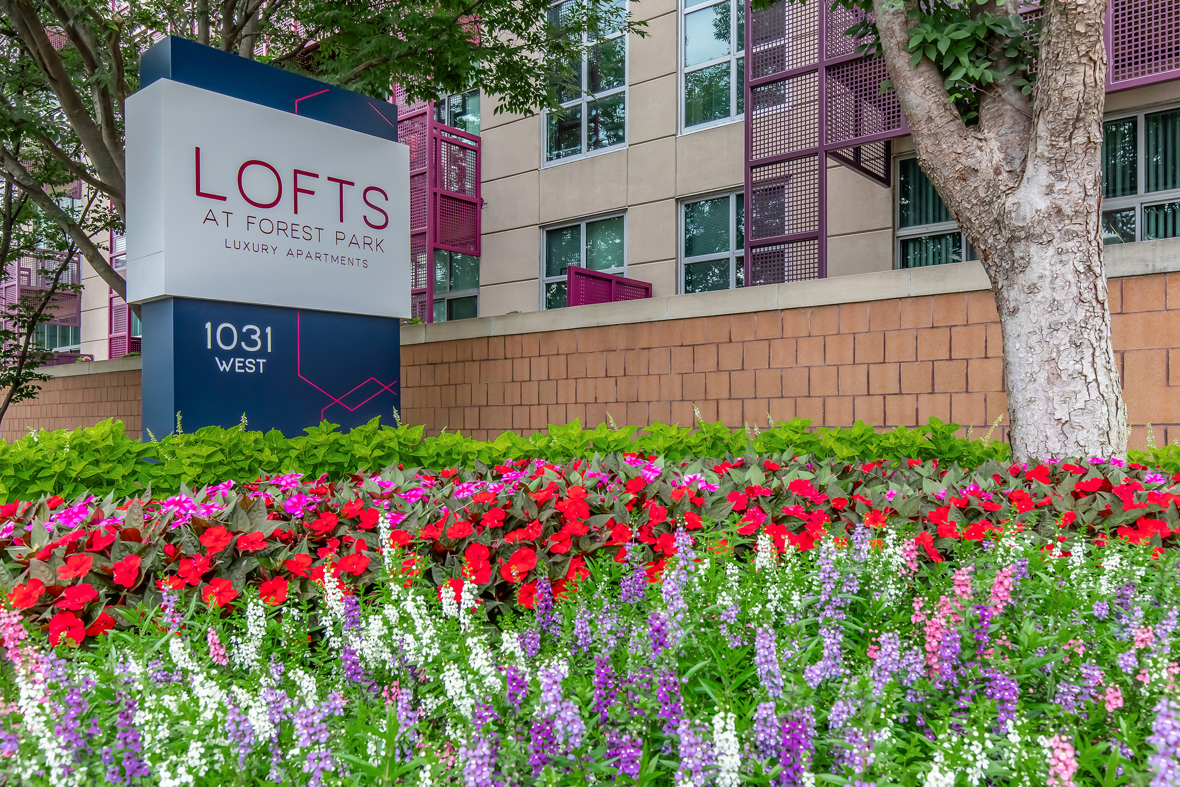 A sign for "Lofts at Forest Park Luxury Apartments" is displayed prominently, with the address "1031 West" beneath it. The sign is surrounded by vibrant flower beds featuring red, pink, and purple flowers, set against a backdrop of modern apartment buildings. Lush greenery adds to the inviting appearance of the location.