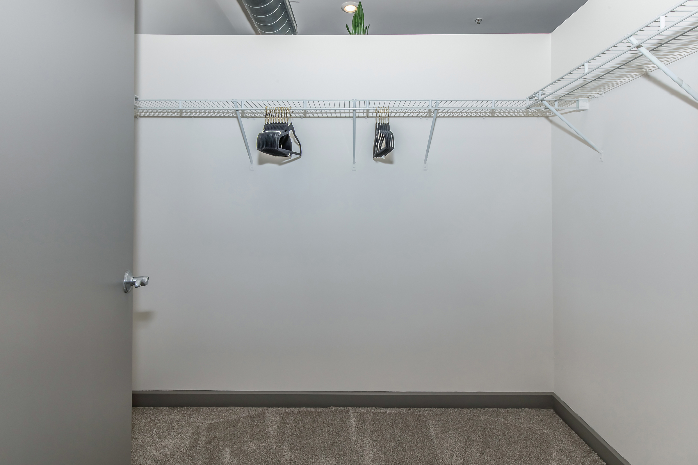 A minimal closet featuring a light-colored wall and carpeted floor. There is a wire shelving unit along the back wall with two black shoes hanging from it. The closet has an open door, and the space appears clean and organized, with no additional items visible.