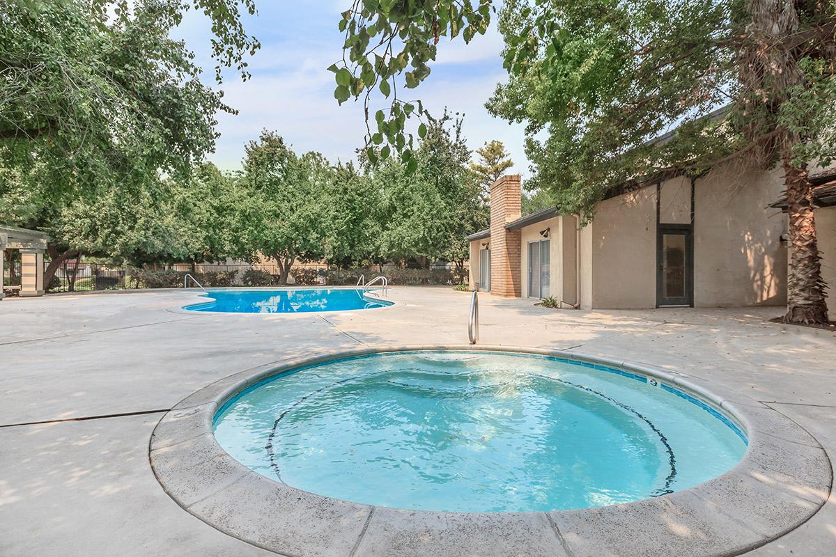 an empty swimming pool
