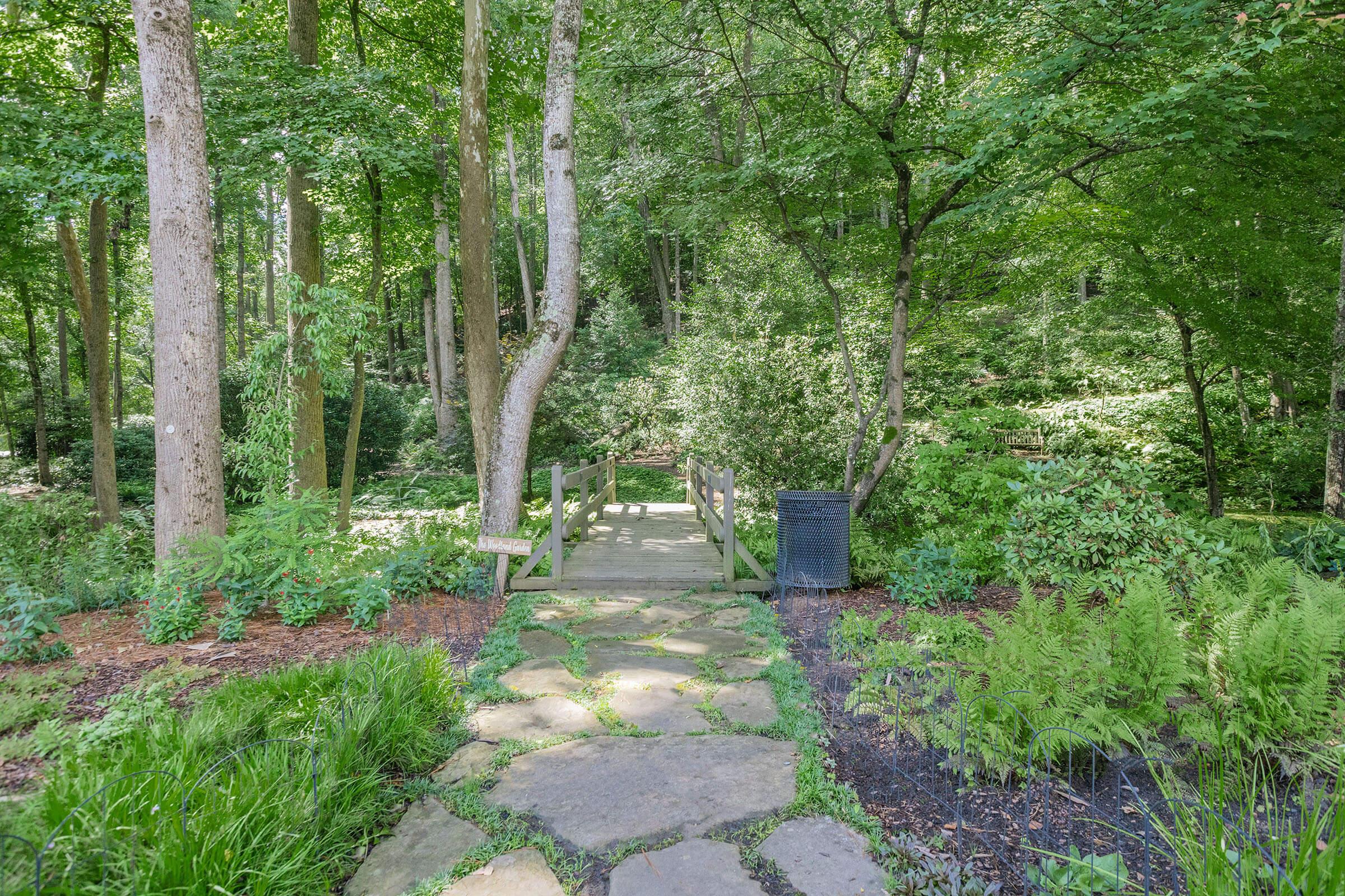 A serene pathway made of stone leads through a lush green forest, with tall trees and ferns on either side. A small wooden bridge spans a gentle stream in the background, and a trash bin is visible along the pathway. The scene evokes a peaceful, natural atmosphere.