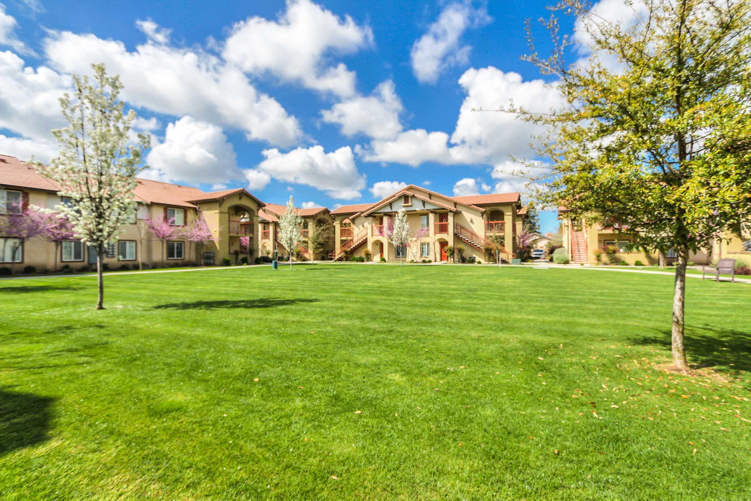 A well-maintained grassy area surrounded by residential buildings under a bright blue sky with fluffy white clouds. The scene features blooming trees, adding a touch of color to the landscape, and provides a spacious, inviting environment for relaxation or outdoor activities.