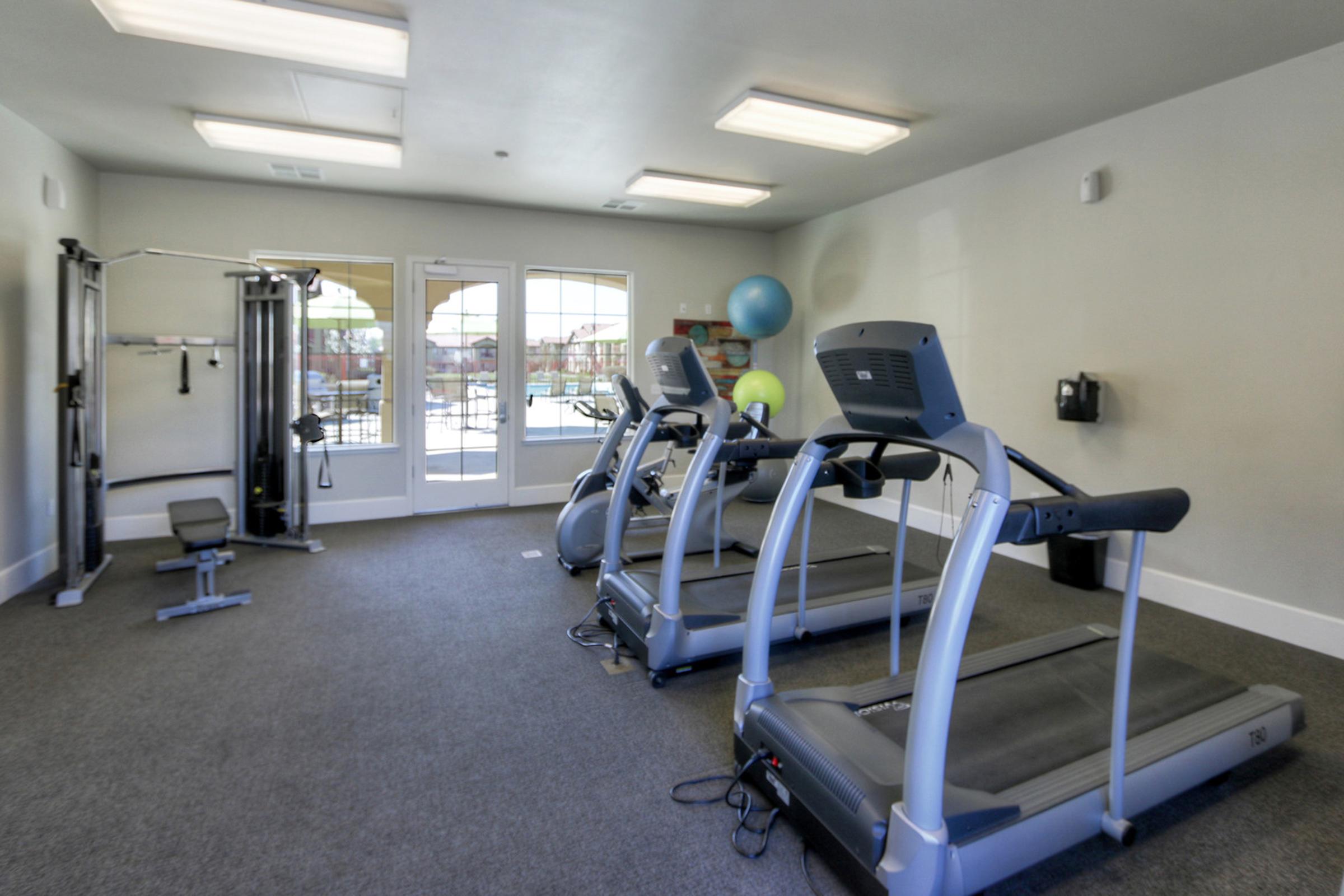 A well-lit fitness room featuring several treadmills, a strength training machine, and a couple of large exercise balls. Large windows provide natural light, and the floor is carpeted in gray. The room appears clean and organized, suitable for workouts.