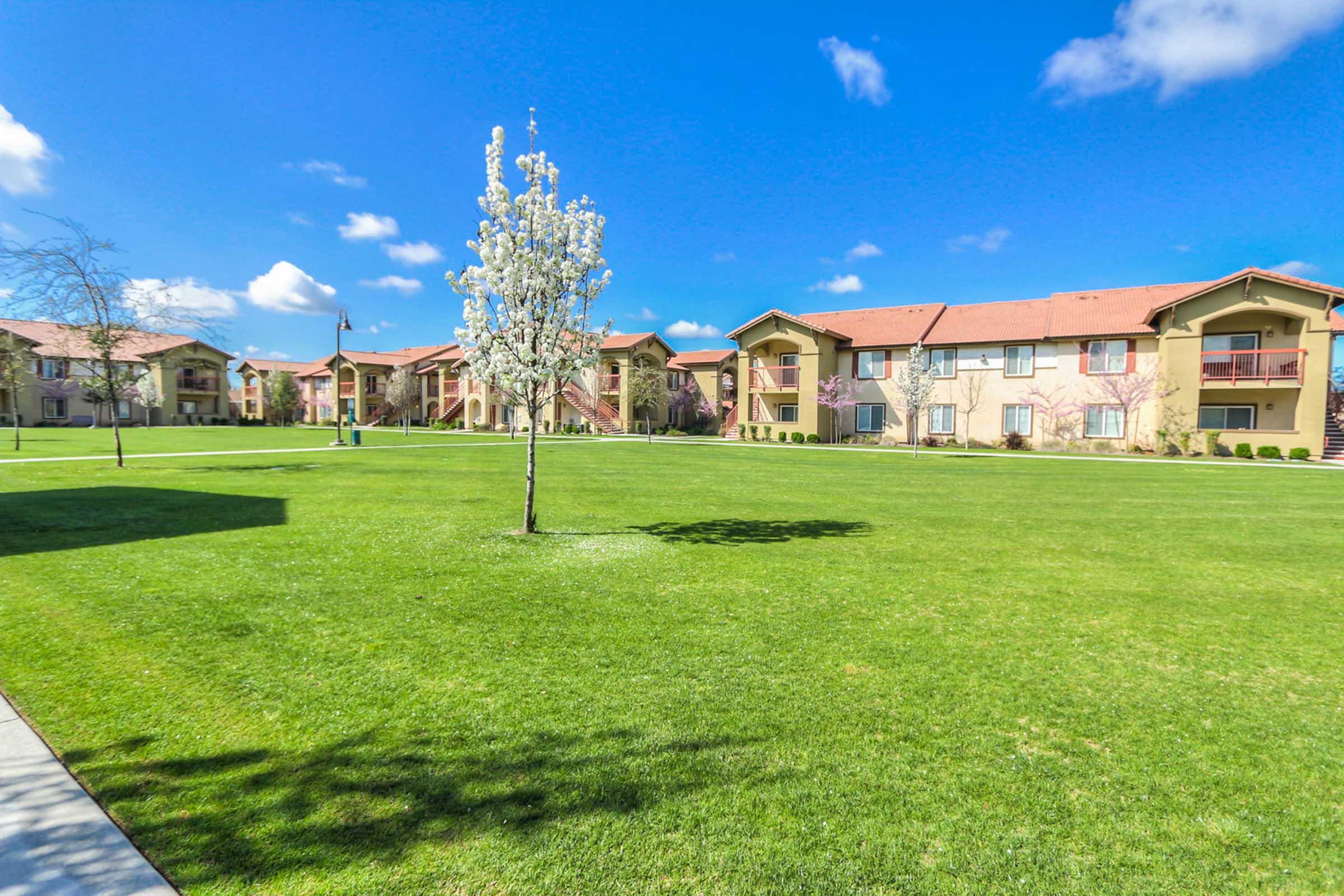 A landscaped area featuring a green lawn and a small flowering tree, with a row of residential buildings in the background. The sky is clear and blue with a few fluffy clouds.