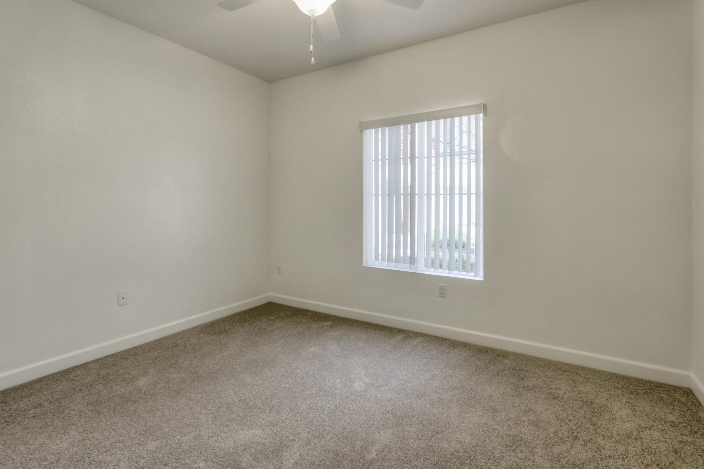 Empty room with light beige carpet, white walls, and a ceiling fan. A window with blinds lets in natural light, facing greenery outside. The space is unfurnished, providing a clean and open area suitable for various needs.