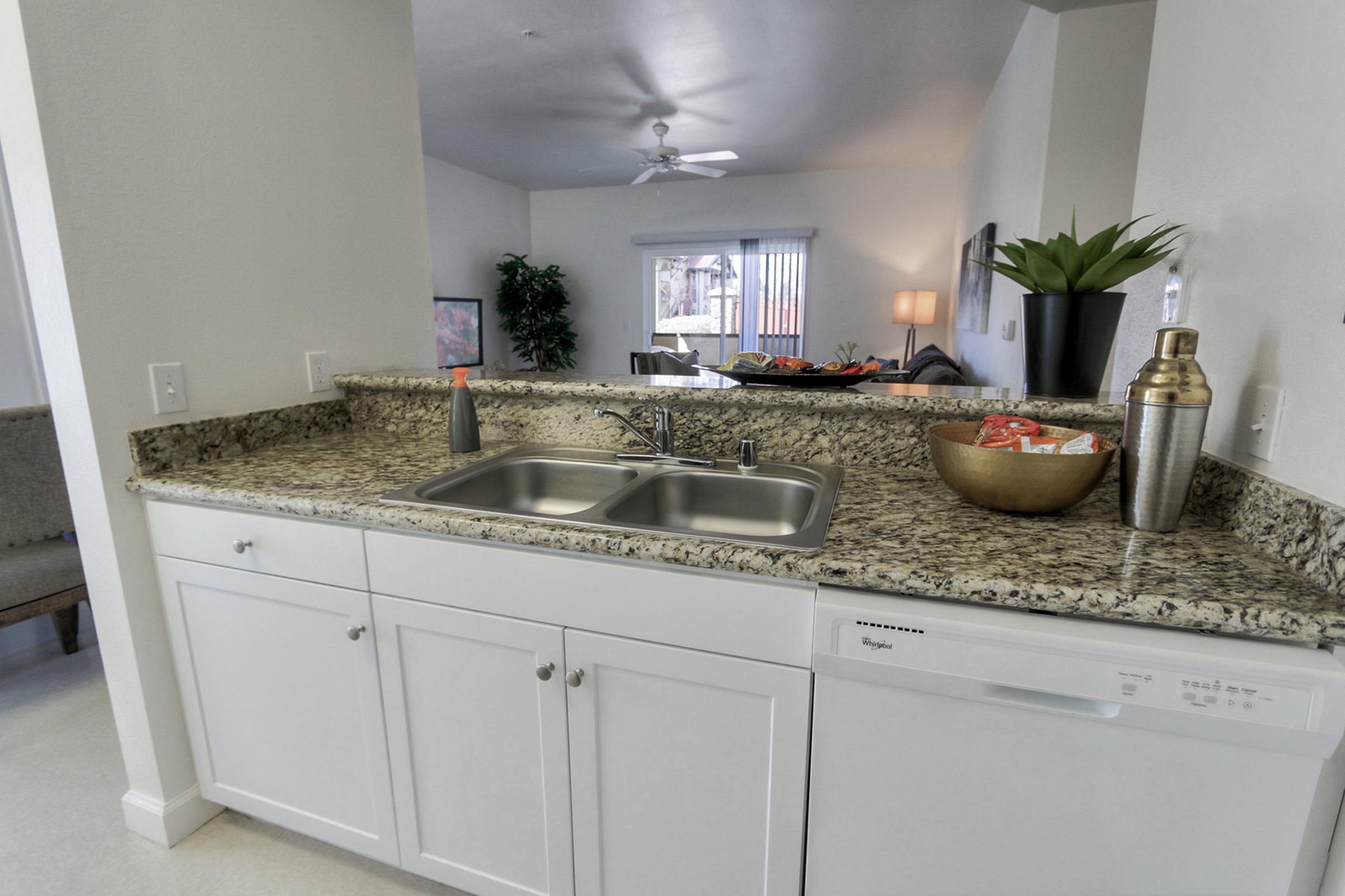 A modern kitchen with granite countertops, featuring a double sink, a silver faucet, and a small bowl of fruit. A dishwasher is visible beneath the counter. In the background, a living area is subtly hinted at, with a sofa and plants, illuminated by natural light coming through a window.
