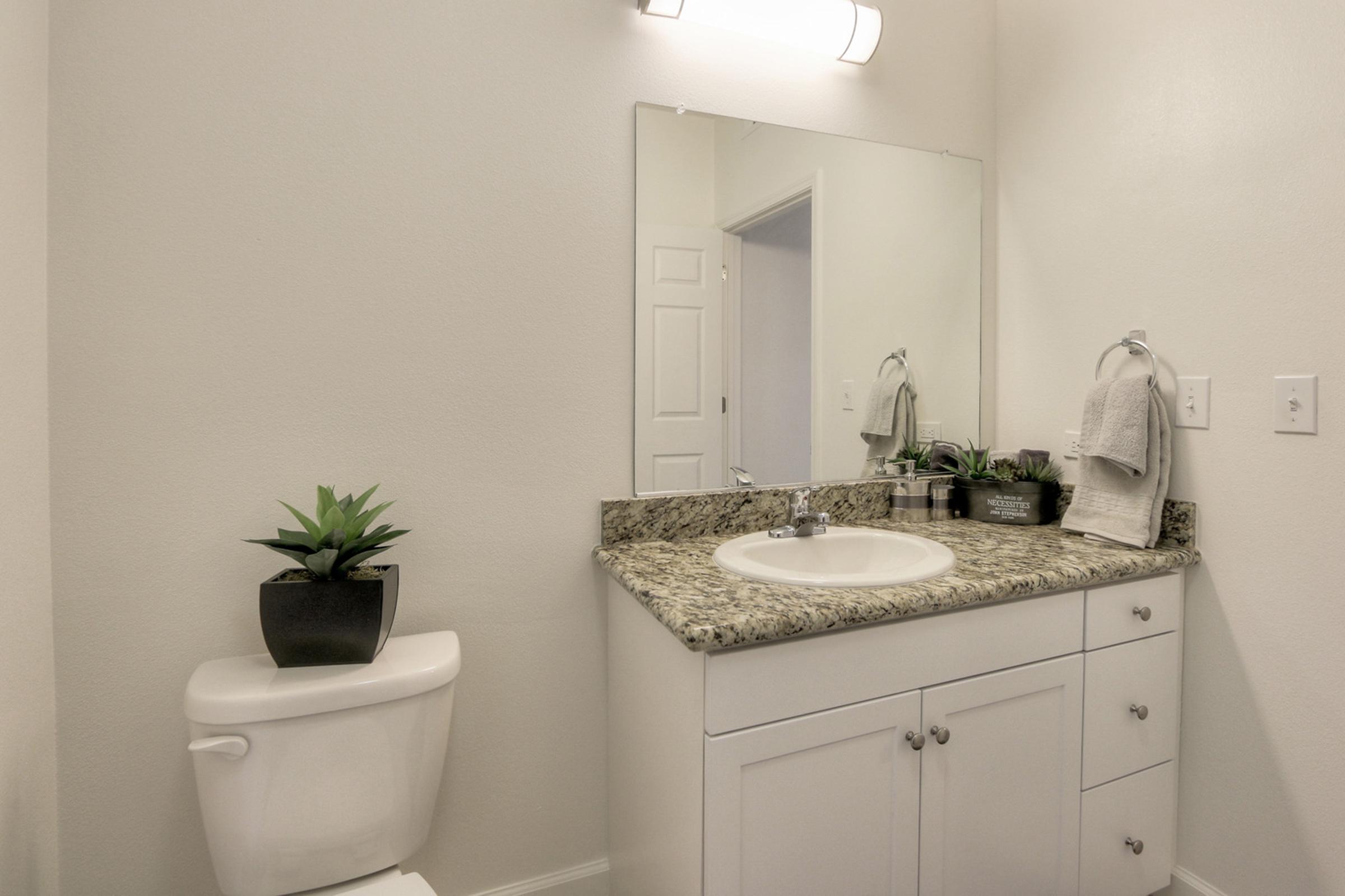 A modern bathroom featuring a white toilet and a granite countertop with a sink. Above the sink is a wall-mounted mirror and a light fixture. There's a potted plant on the countertop alongside towels. The walls are painted in a neutral color, creating a clean and bright appearance.