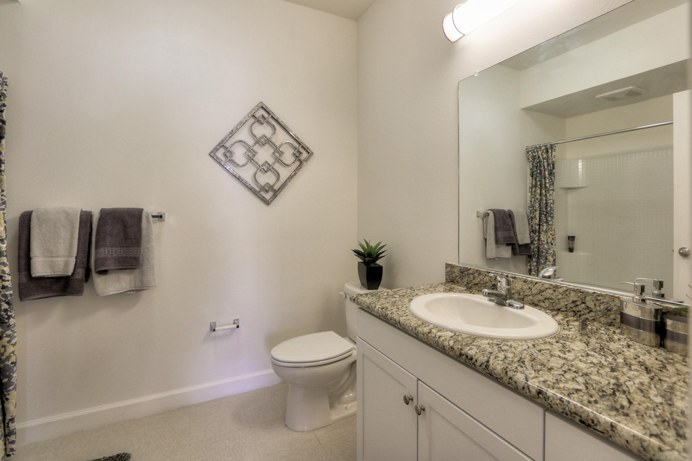 A modern bathroom featuring a granite countertop sink, a wall-mounted mirror, and neatly hung towels. There’s a plant on the counter, a toilet, and a shower area with a patterned curtain. The walls are painted in a light color, contributing to a clean and airy atmosphere.