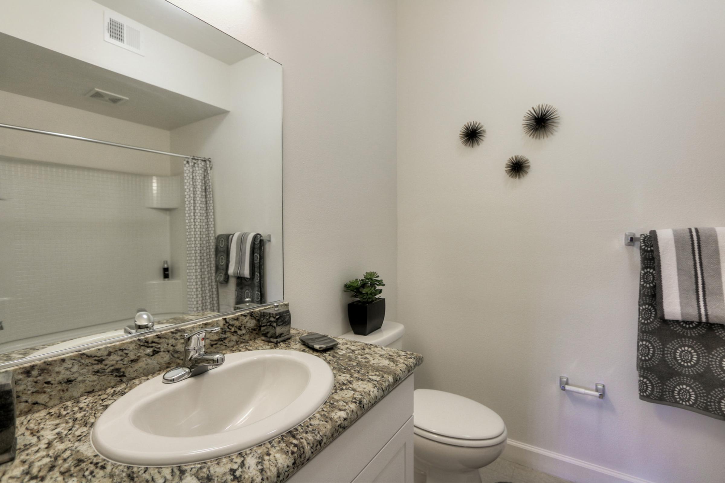 A modern bathroom featuring a granite countertop with a sink, a large mirror, and a shower area. There are decorative black wall hangings and neatly arranged towels. A small green plant is placed on the countertop, adding a touch of color to the neutral decor.