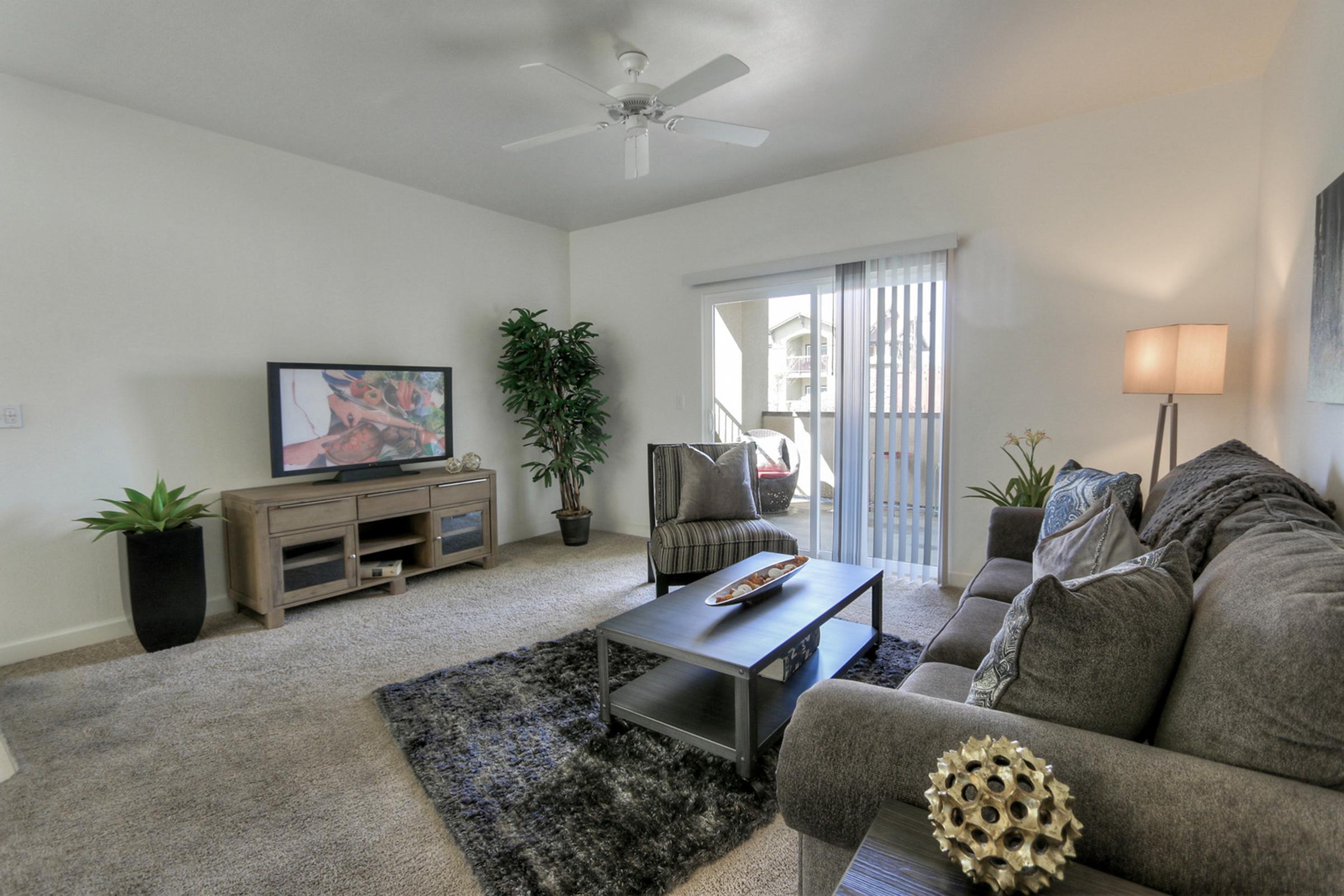 A modern living room featuring a gray sofa, a coffee table with decorative items, and a TV on a wooden stand. There are potted plants, a rug on the carpeted floor, and sliding glass doors leading to a balcony. Natural light fills the space, creating a cozy atmosphere.
