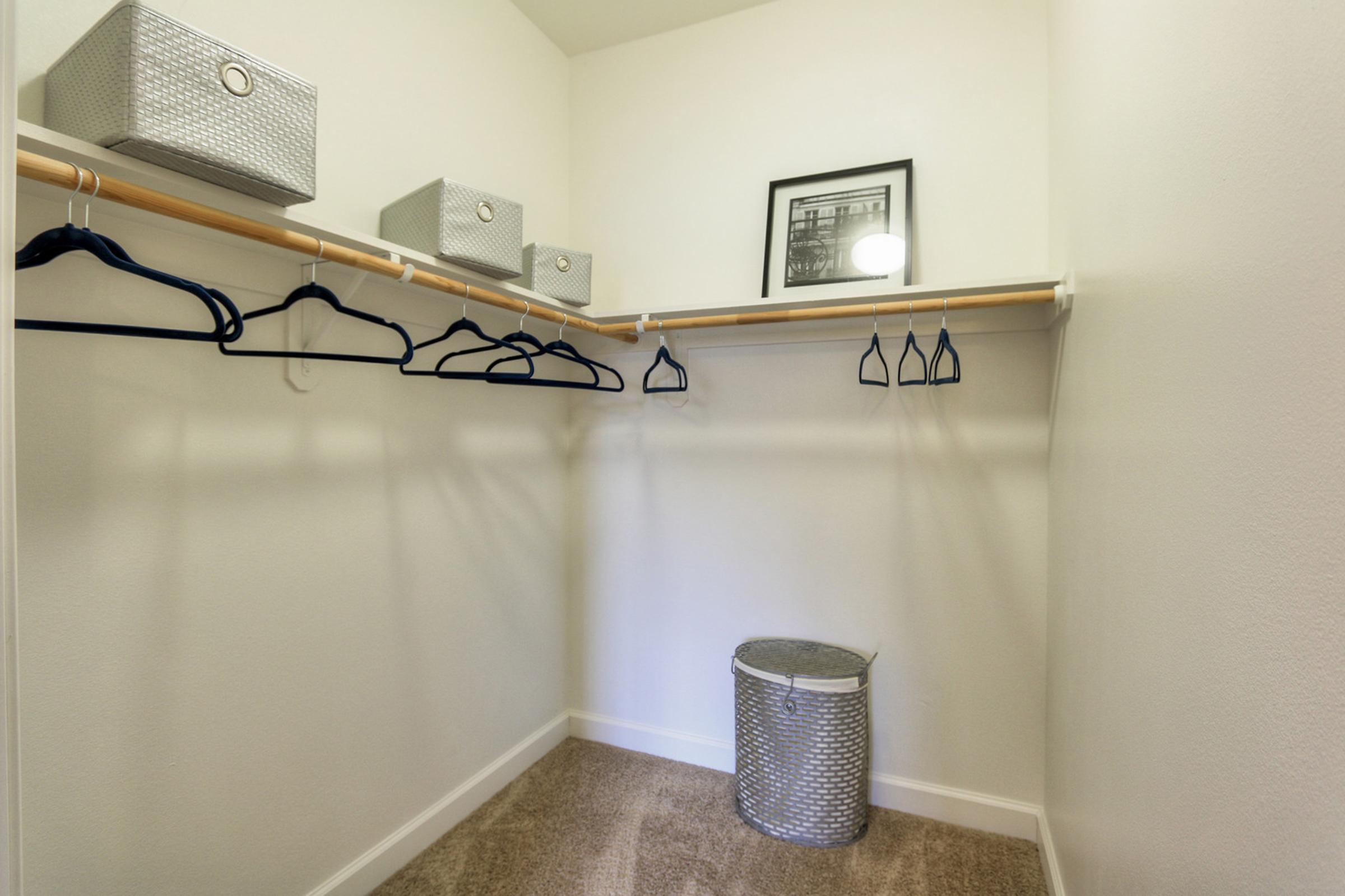 An empty closet featuring a hanging rod with blue clothes hangers, a few gray storage boxes on the shelf above, a framed picture on the wall, and a round gray laundry basket on the floor. The walls are a light color, and the carpet is beige. The space appears organized and minimalist.