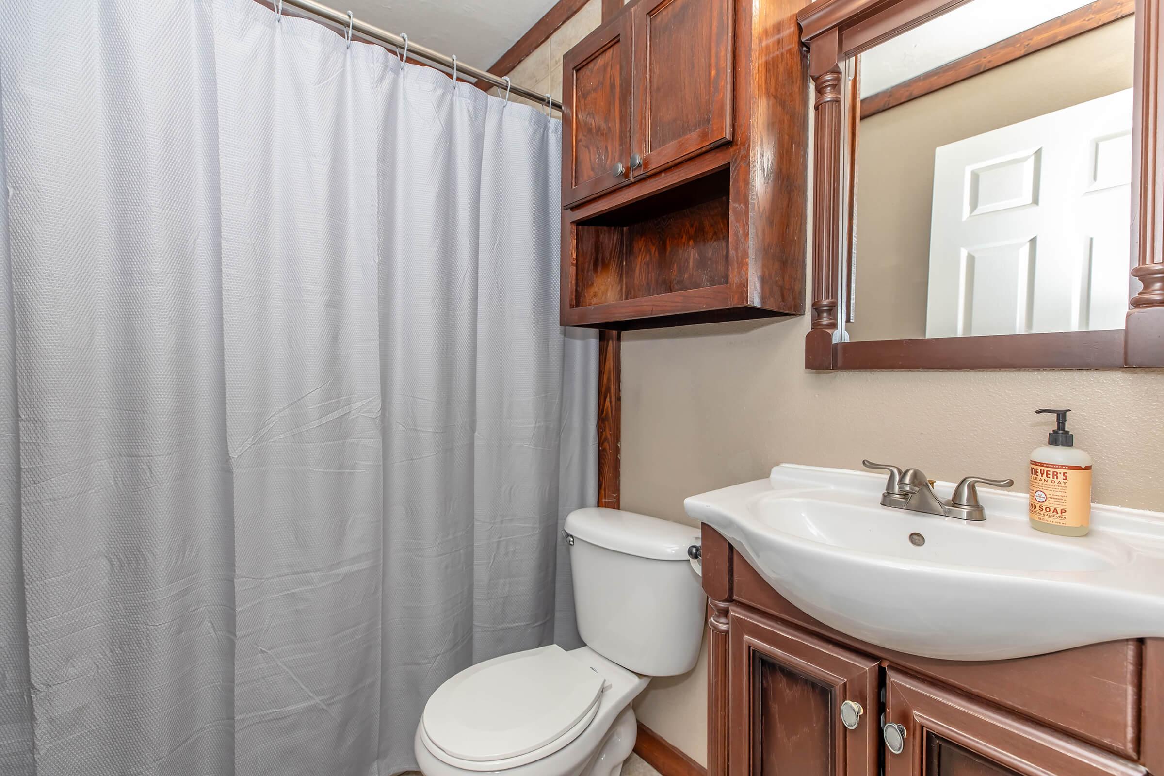 A bathroom featuring a white toilet, a sink with wooden cabinetry, a mirror above the sink, and a shower curtain. A soap dispenser is placed on the counter. The walls are a neutral color, and there is a door visible in the background.