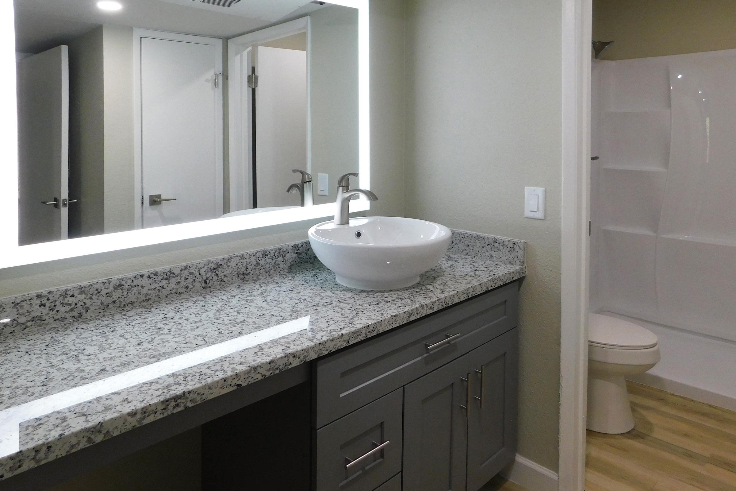 a double sink and large mirror