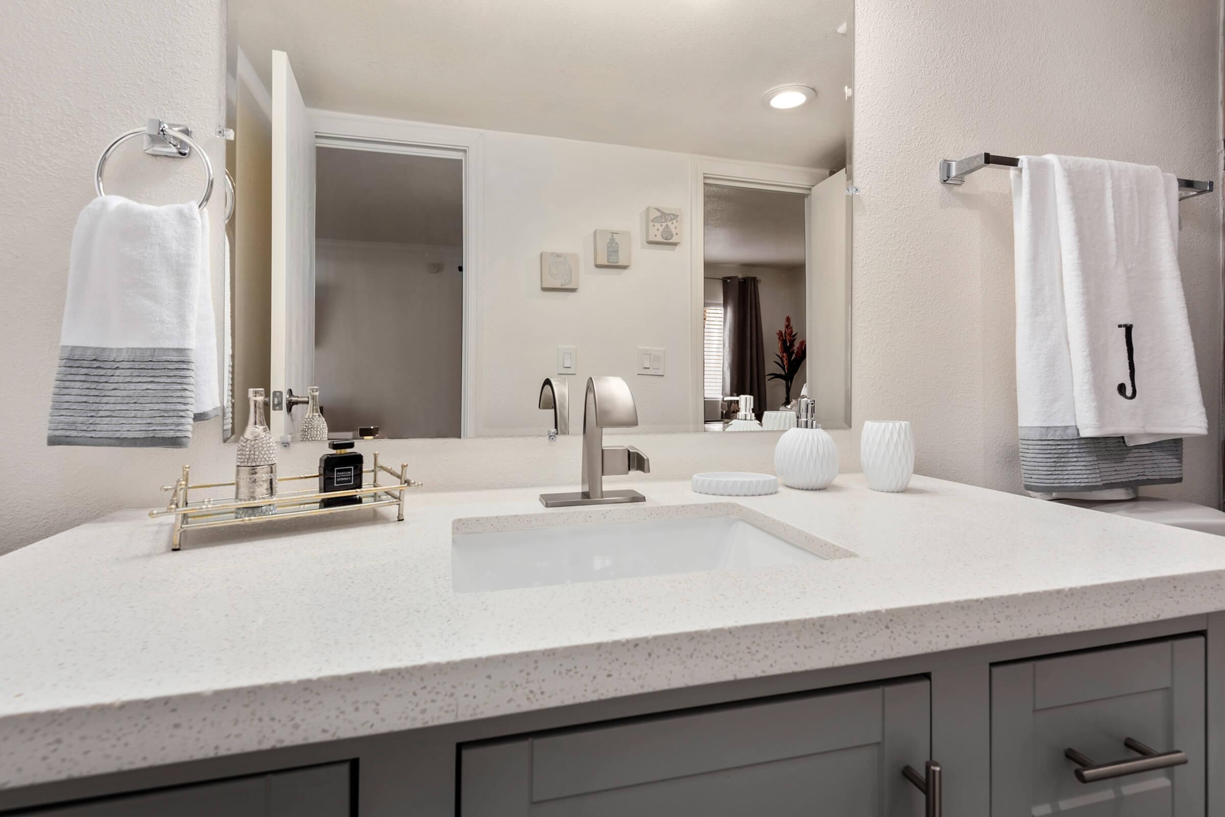 a double sink and large mirror