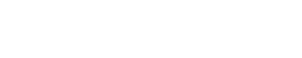 The Molino ebrochure logo