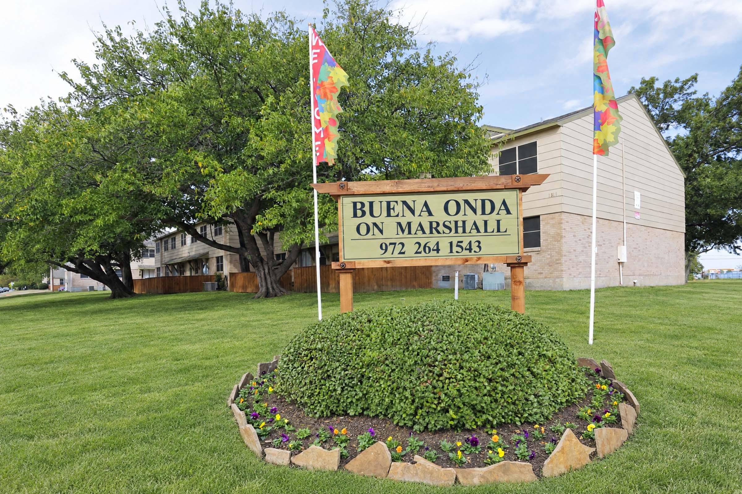 Sign for "Buena Onda on Marshall" with a phone number (972 264 1543) displayed prominently. The sign is surrounded by green grass and landscaping, with colorful flags on either side. In the background, there is a multi-story building and trees.