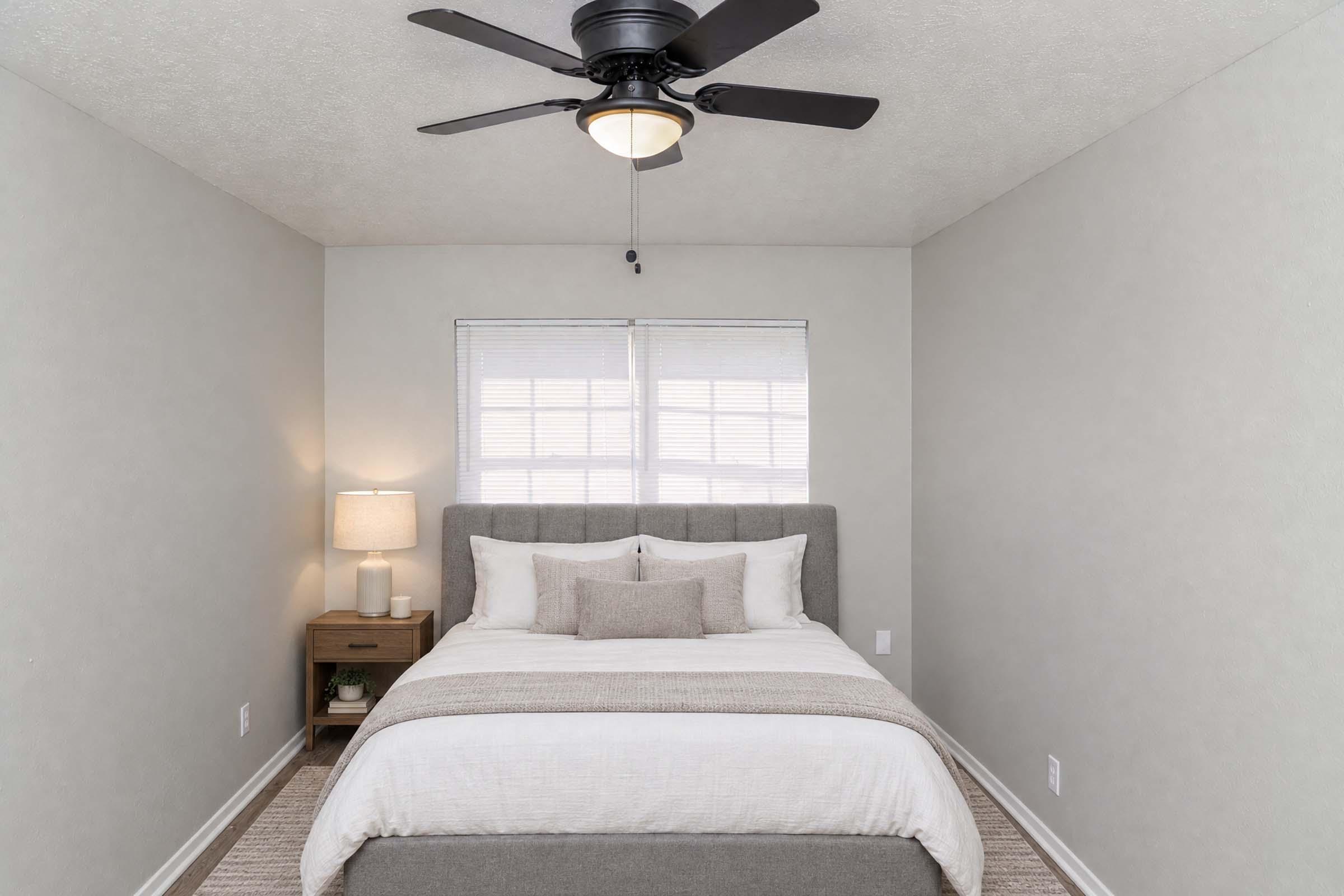 A modern, minimalistic bedroom featuring a queen-sized bed with white and gray bedding. There is a stylish gray headboard, a bedside table with a lamp, and a ceiling fan above. The walls are painted in a light gray color, and there are two windows with blinds allowing natural light to enter the room.