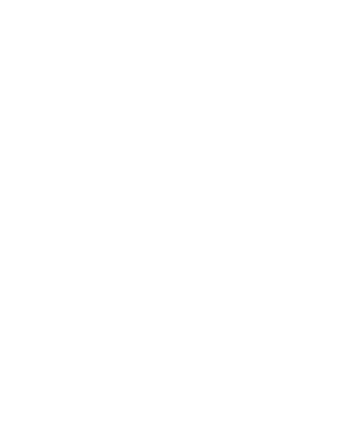 Buena Onda on Marshall ebrochure logo