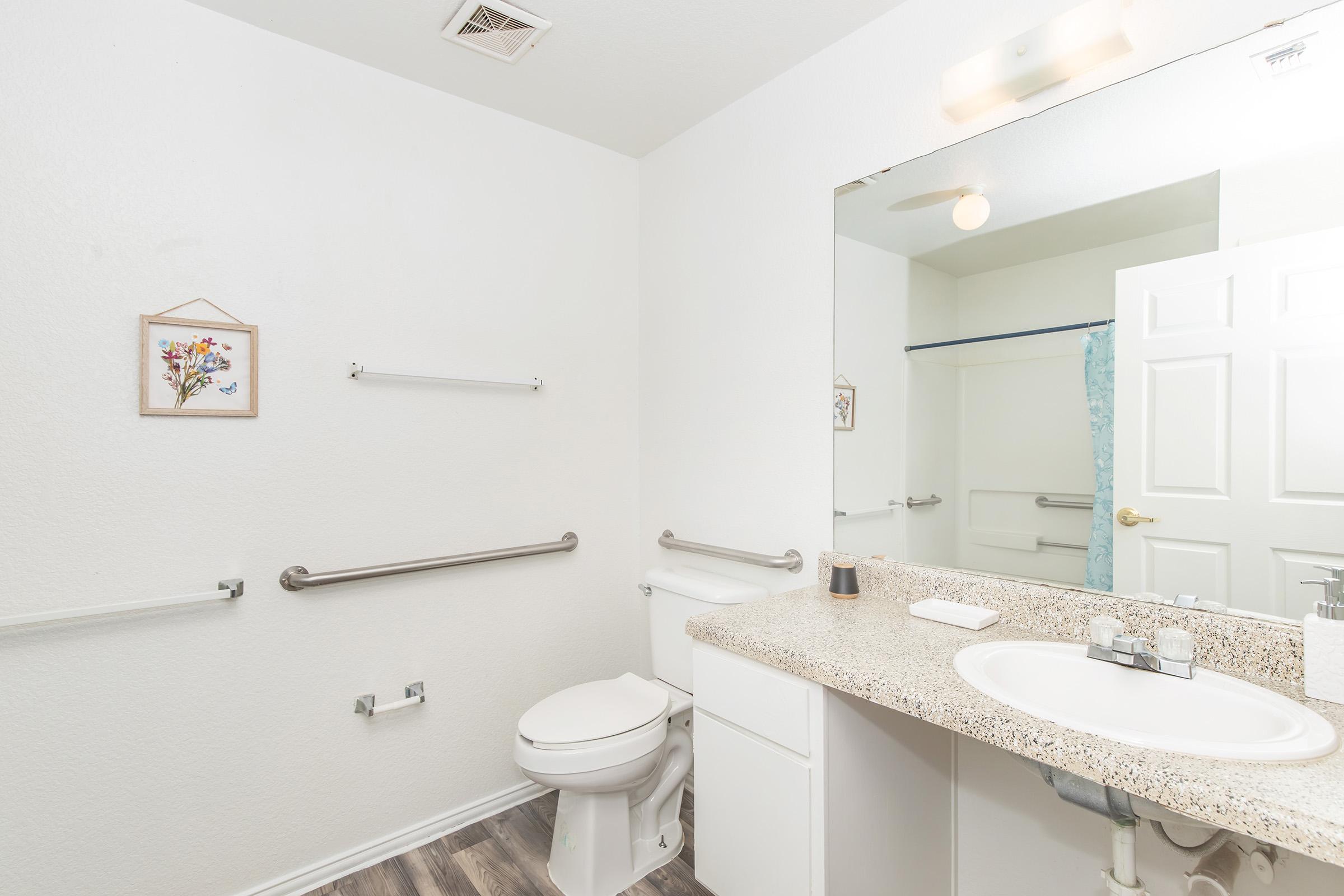 A clean and well-lit bathroom featuring a white toilet, a granite countertop with sink, a large mirror, and grab bars for accessibility. The walls are painted light, and a small framed floral artwork is hung. A blue shower curtain is visible in the background, adding a touch of color.