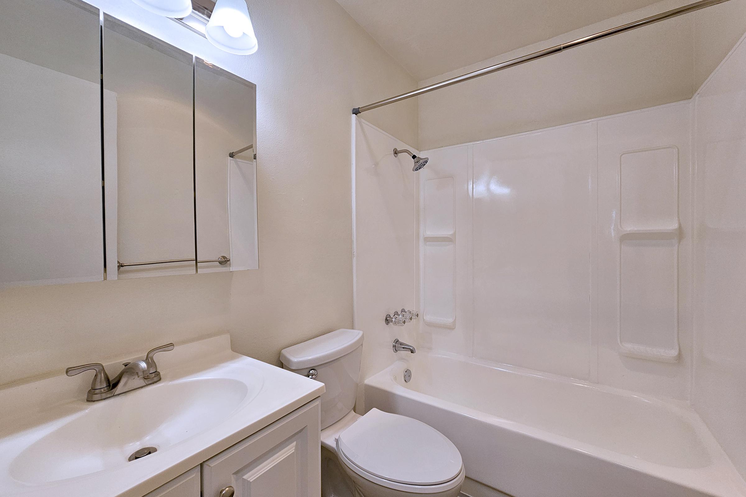 a shower that has a sink and a mirror