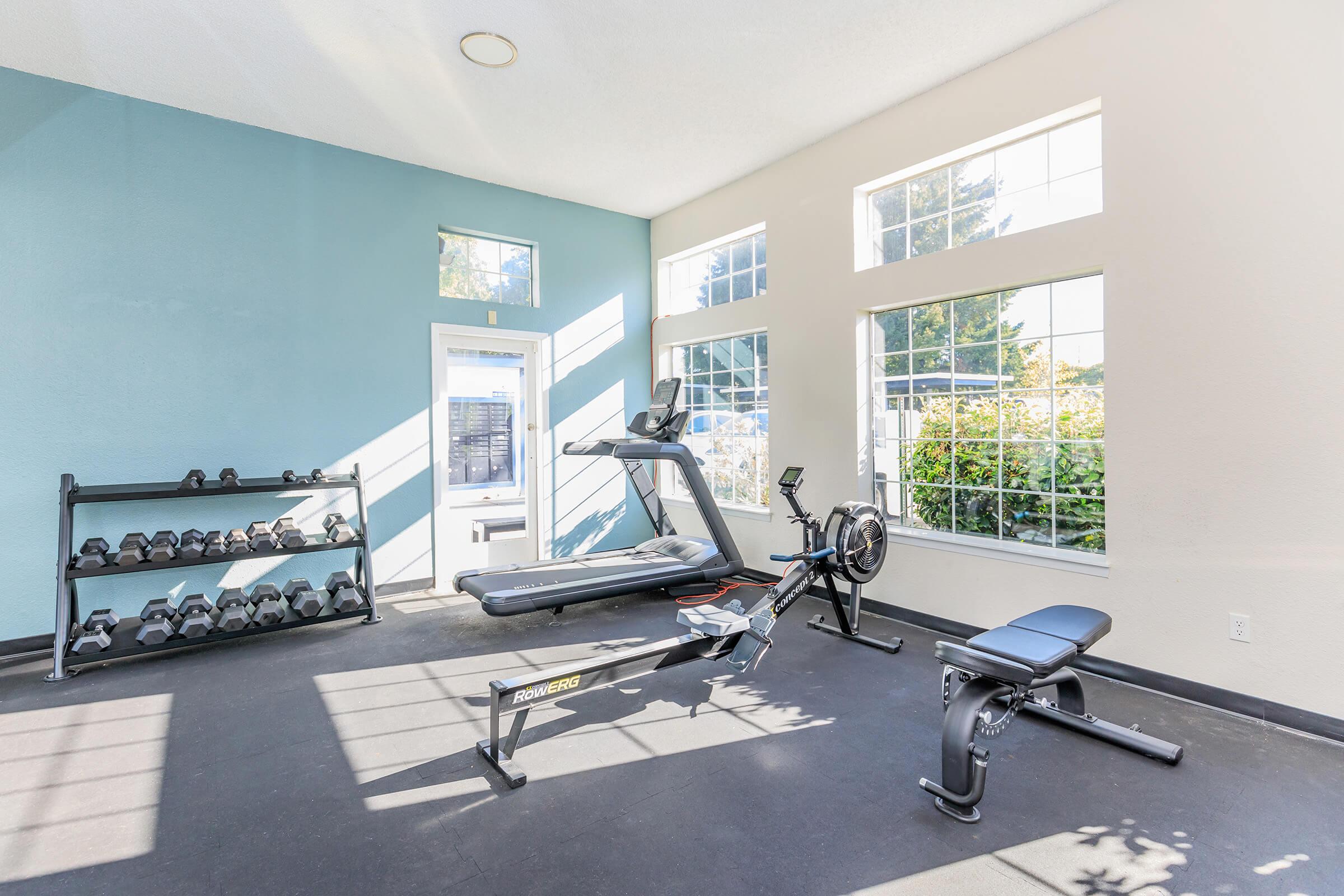 Indoor gym with bright windows, featuring a treadmill, rowing machine, weight bench, and a rack of dumbbells. The space has a modern design with blue and white walls, allowing for ample natural light. Ideal for fitness enthusiasts looking for a well-equipped workout area.