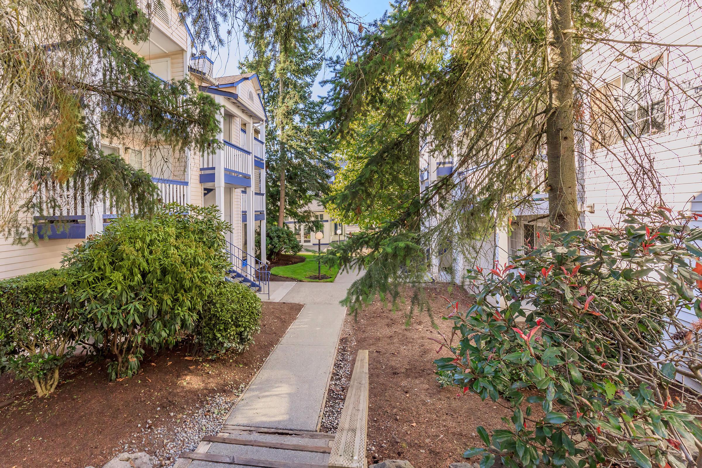 Pathway leading through a landscaped residential area, featuring multiple buildings with blue accents. Lush green shrubs and trees frame the walkway, creating a peaceful atmosphere. The ground is mostly clear, with a few stones visible along the edges. Sunlight filters through the foliage, adding warmth to the scene.