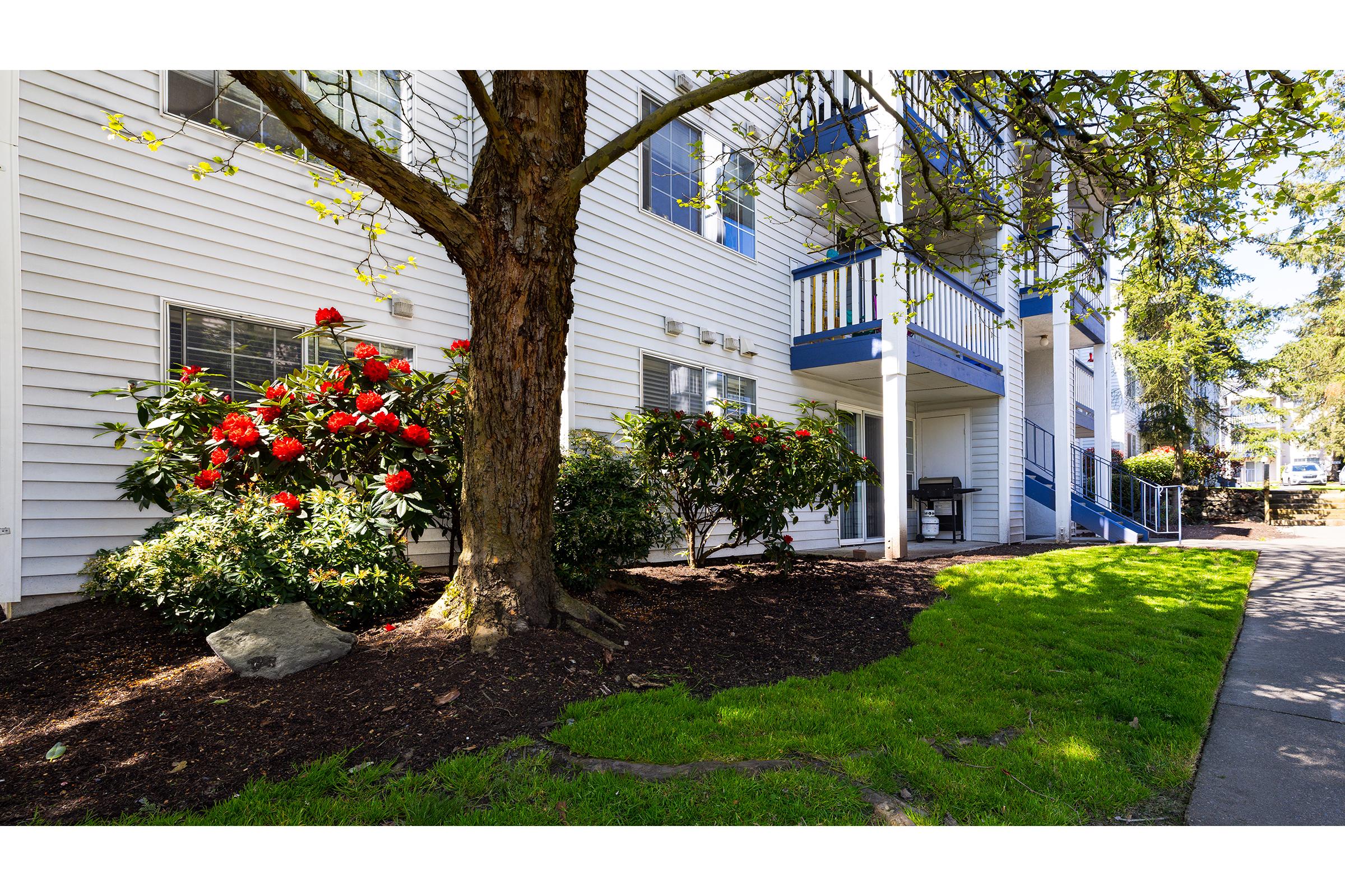 A well-maintained residential building with white siding and blue accents. In the foreground, vibrant red rhododendron flowers bloom beside lush green shrubs. The surrounding area features fresh grass and a pathway, creating an inviting landscape with trees providing shade.