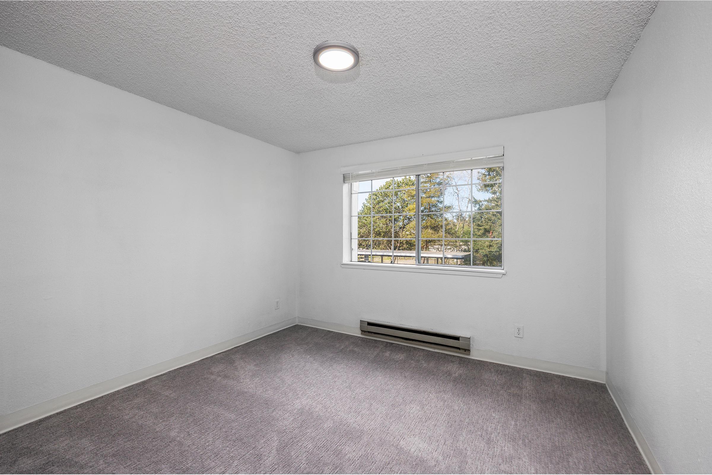 A simple, uncluttered room with light gray walls and carpeting. It features a large window letting in natural light and showcasing greenery outside. A ceiling light fixture provides additional illumination. The room has baseboard heating along one wall, maintaining a minimalist aesthetic.