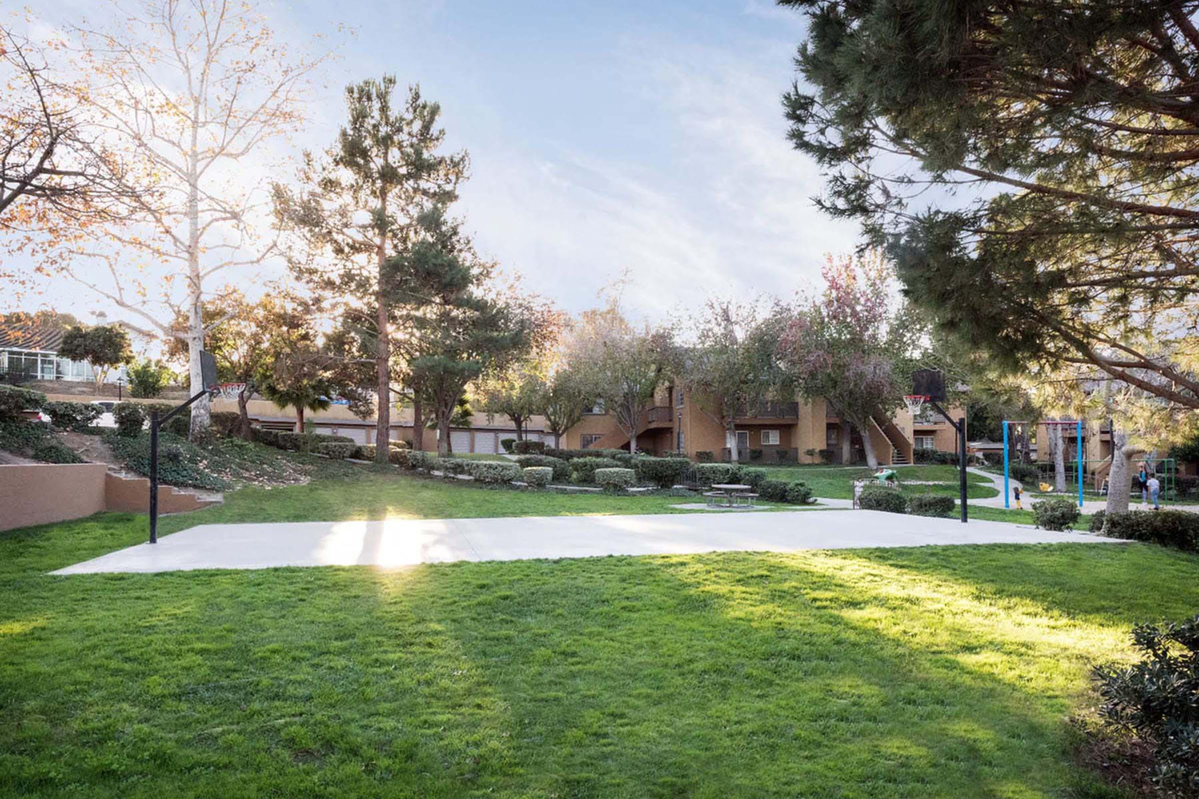 A serene park scene featuring a large grassy area with a basketball court. Surrounding trees and shrubs add greenery, while sunlight filters through the leaves. In the background, residential buildings are visible, enhancing the tranquil atmosphere of the space, perfect for outdoor activities and relaxation.