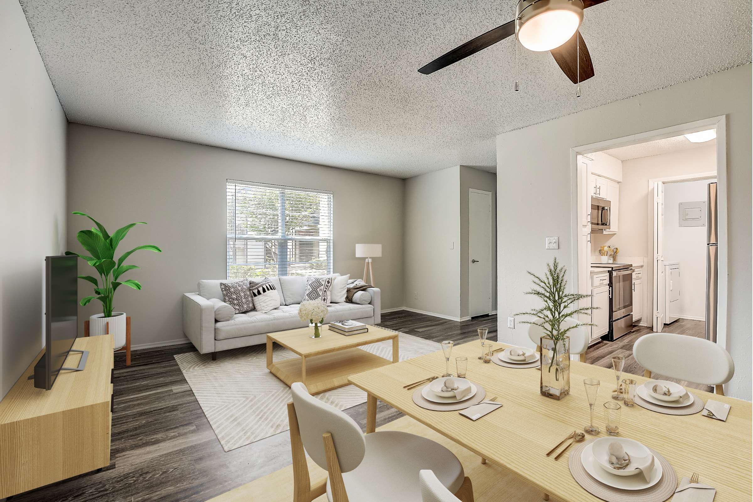 Apartment Features