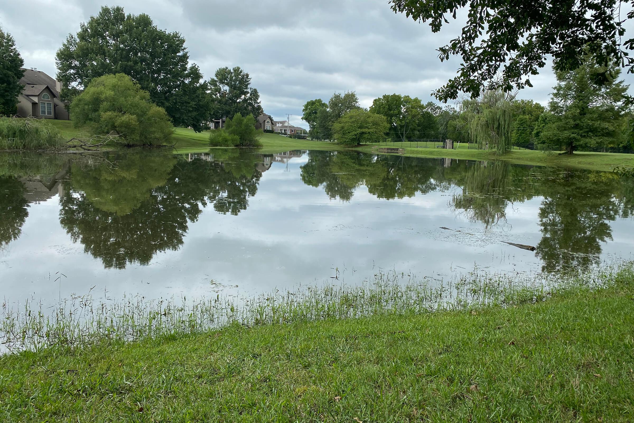 a body of water surrounded by green grass and trees