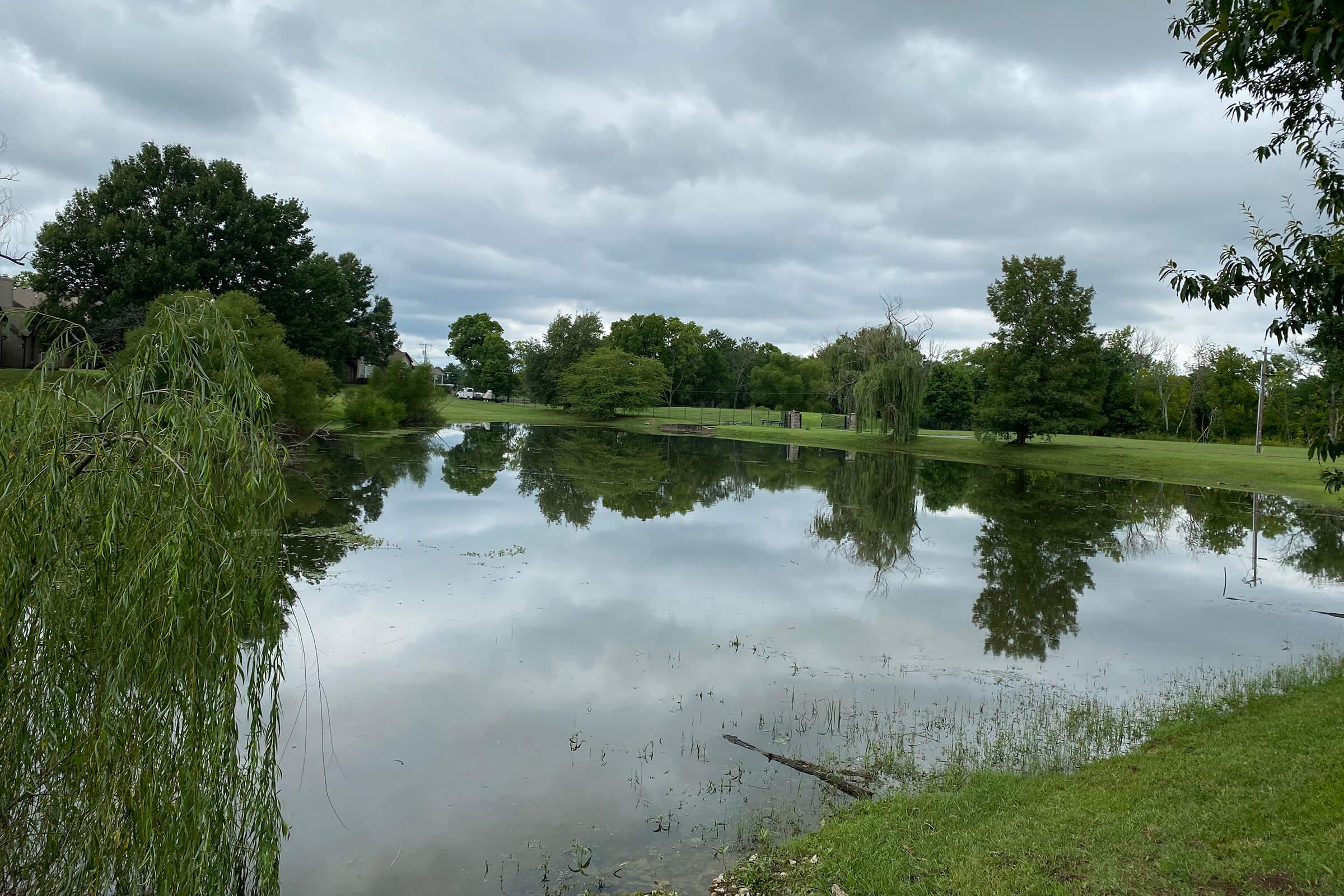 a body of water surrounded by trees