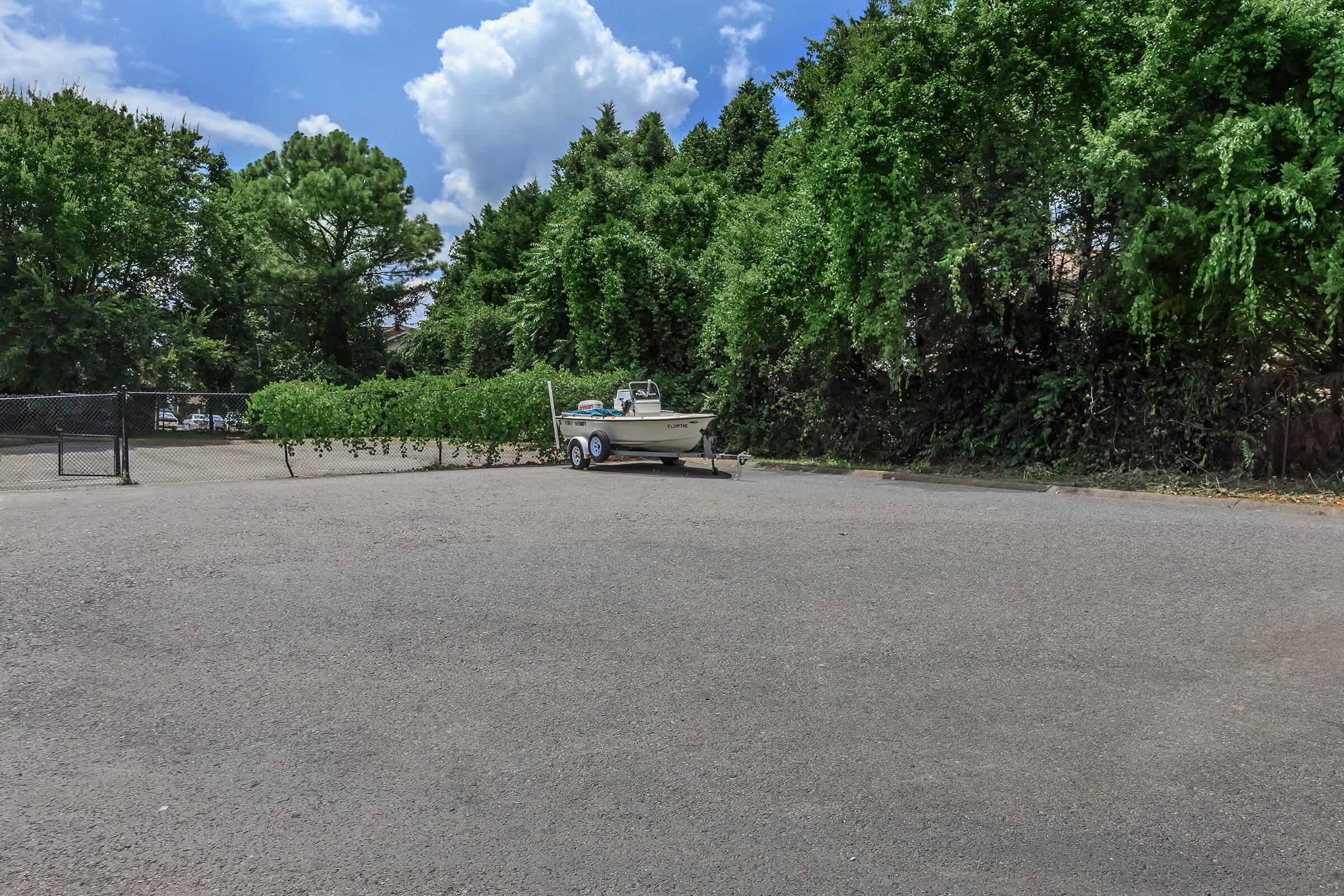 a tree on a dirt road