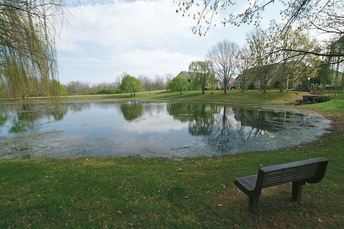 an empty park bench next to a body of water