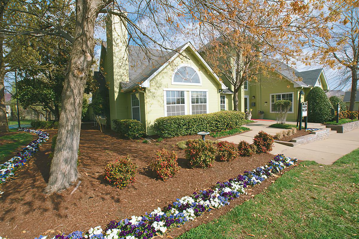 a flock of seagulls standing on grass in front of a house