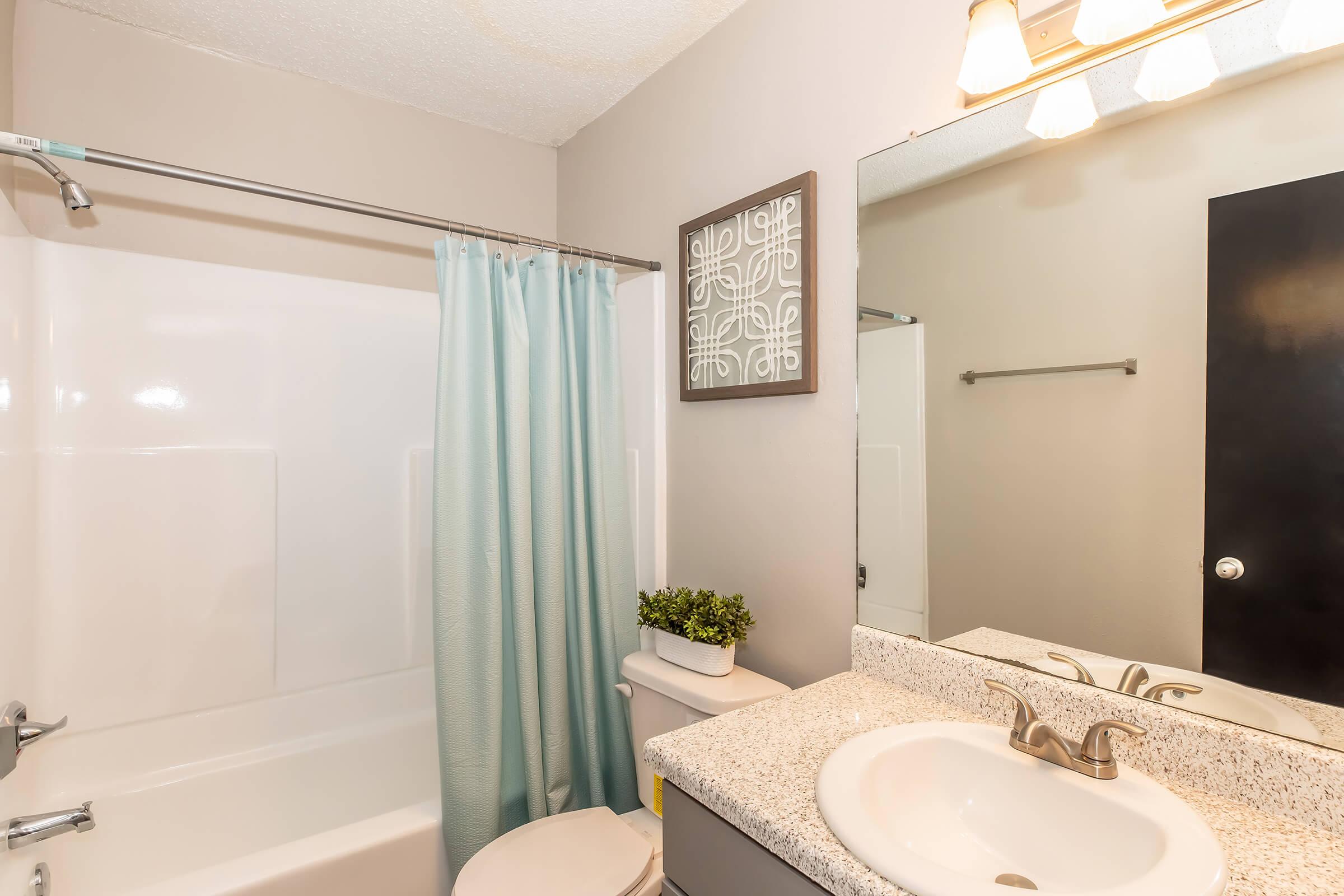A bathroom featuring a white bathtub with a light blue shower curtain, a granite countertop sink, a mirror above the sink, and a small potted plant on the counter. The walls are painted in a neutral tone. A wall-mounted towel bar is visible, and there is a decorative artwork framed on the wall.