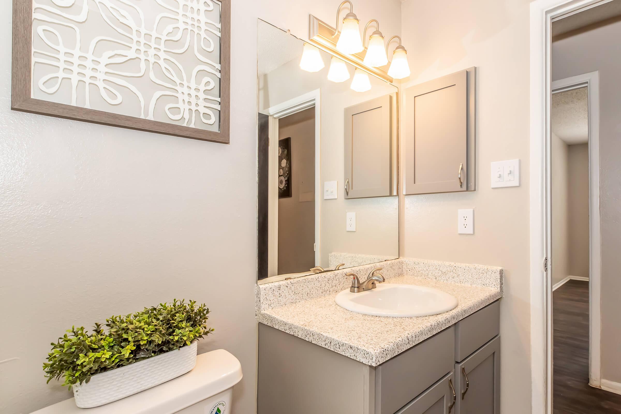 A modern bathroom featuring a granite countertop with a circular sink, a large mirror above, and stylish light fixtures. Gray cabinetry complements the decor. A small potted plant adds a touch of greenery. The wall is painted in a soft beige tone, creating a warm and inviting atmosphere.