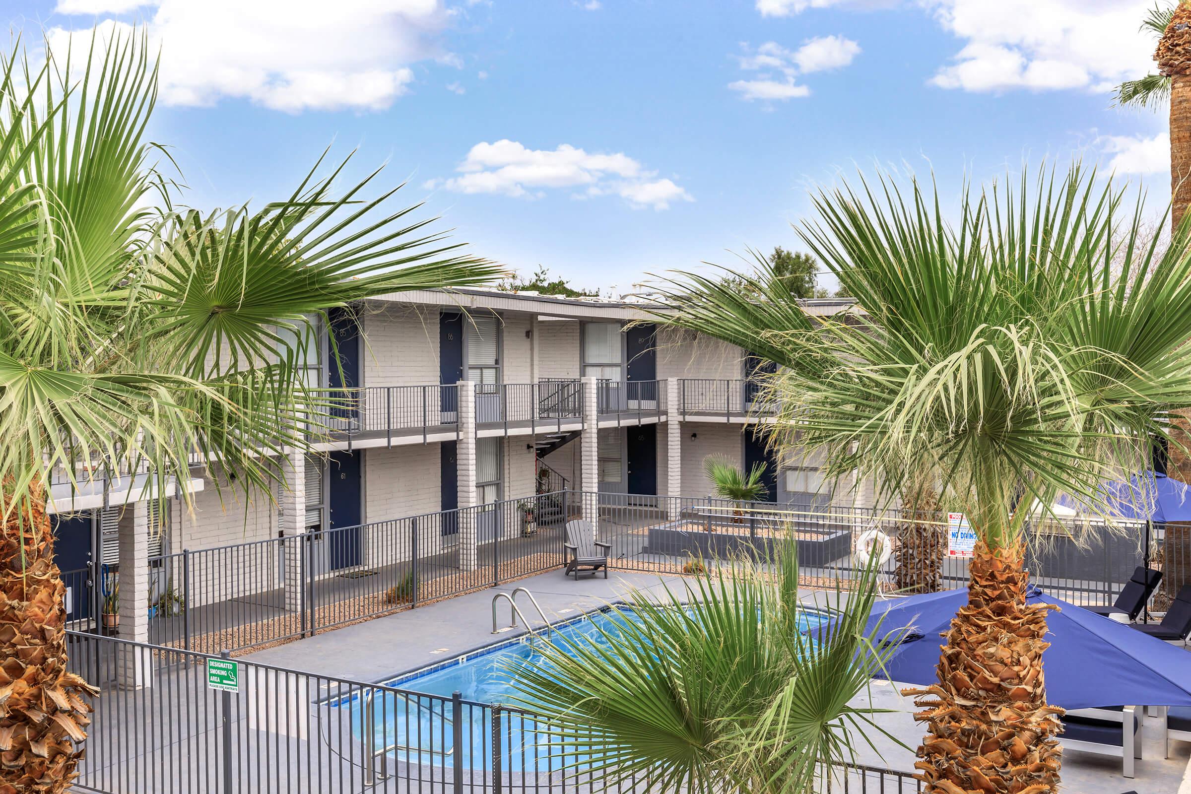 a palm tree in front of a building