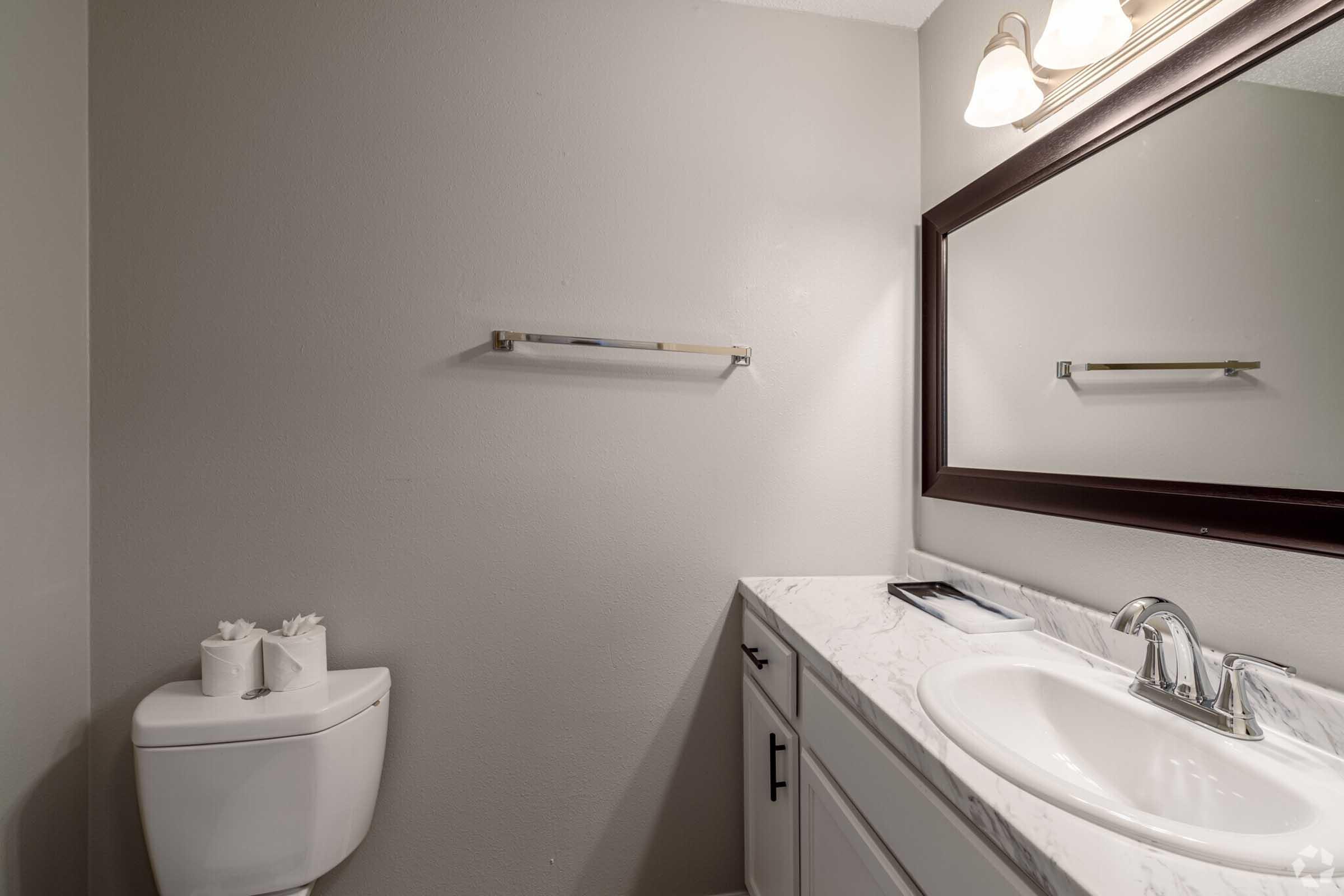 a restroom with a sink and a mirror