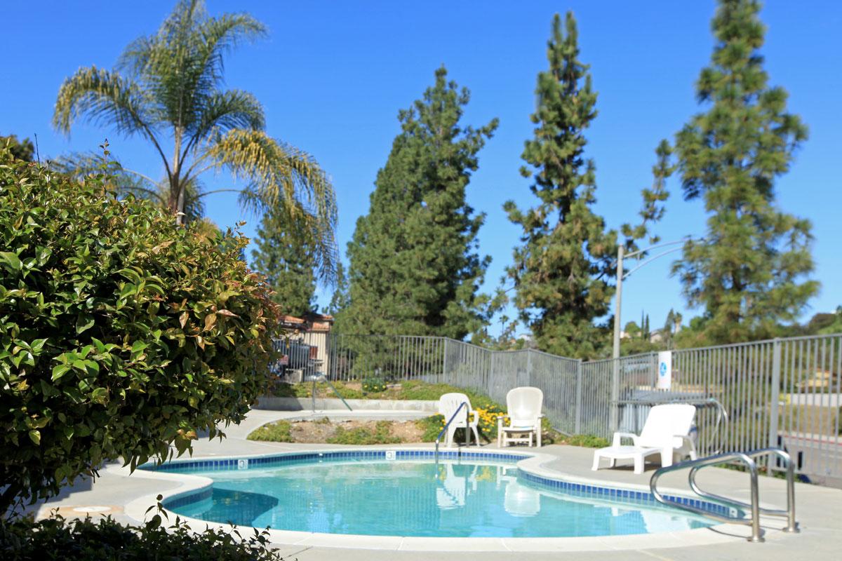 a pool next to a tree