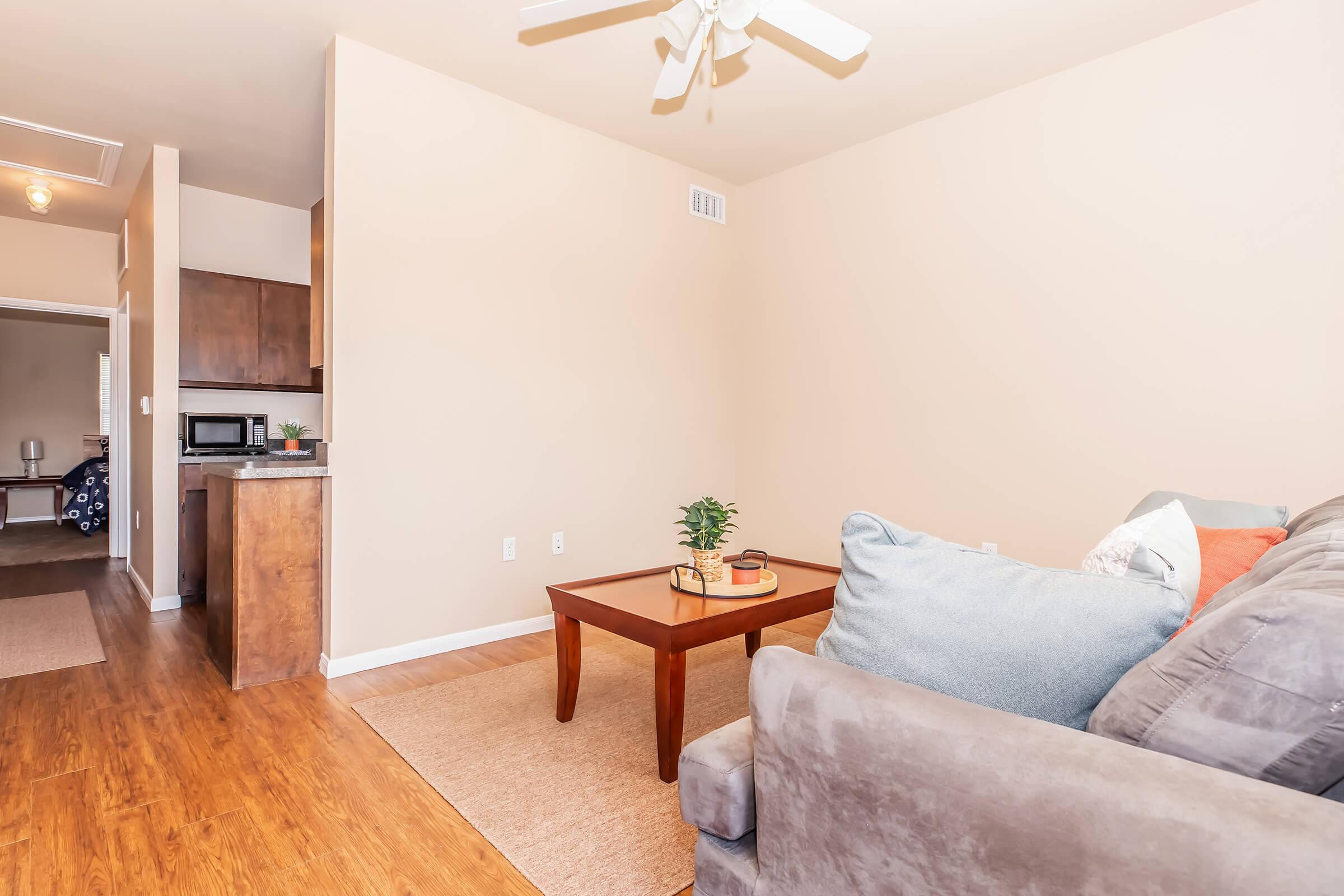 A cozy living room featuring a gray sofa with decorative pillows, a wooden coffee table with a small plant, and a light-colored area rug. The walls are painted in a warm beige tone. In the background, a kitchenette is visible with dark wood cabinets, and a hallway leads to another room.