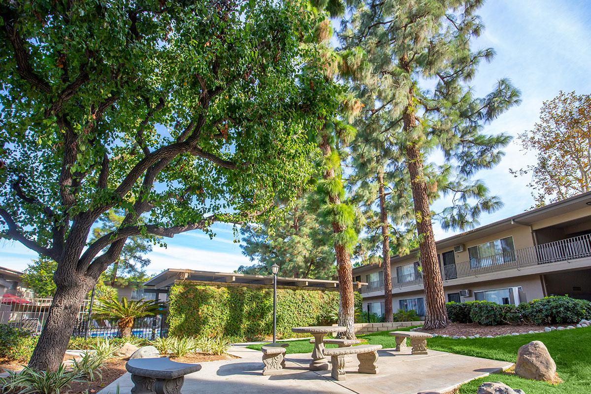 Saddleback Pines Apartment Homes courtyard with a picnic table and benches