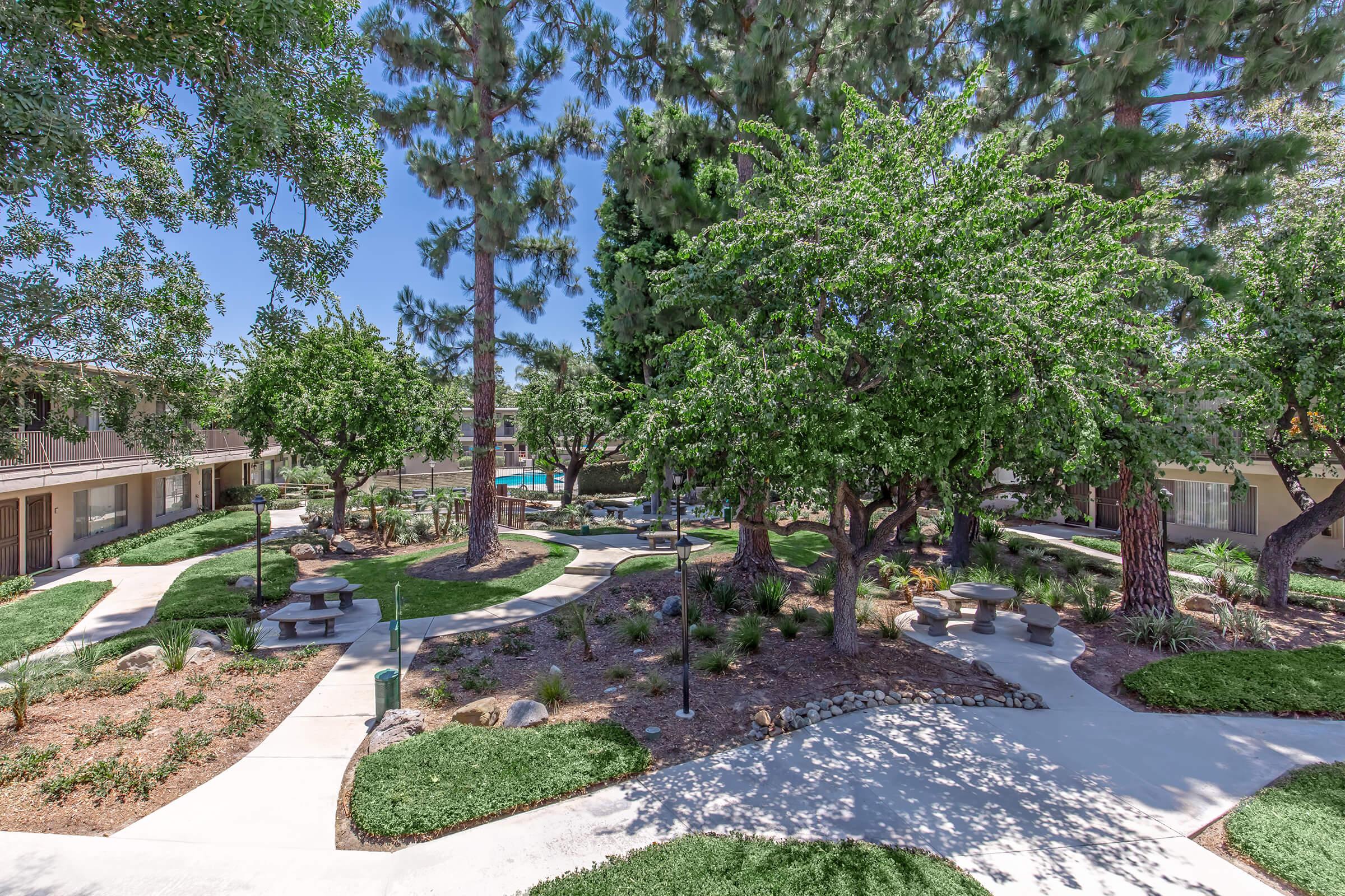 A landscaped courtyard featuring tall trees, well-maintained shrubs, and walking paths. There are several picnic tables scattered throughout the area, with a swimming pool visible in the background. The scene is bright and sunny, highlighting a peaceful environment suitable for relaxation and outdoor gatherings.