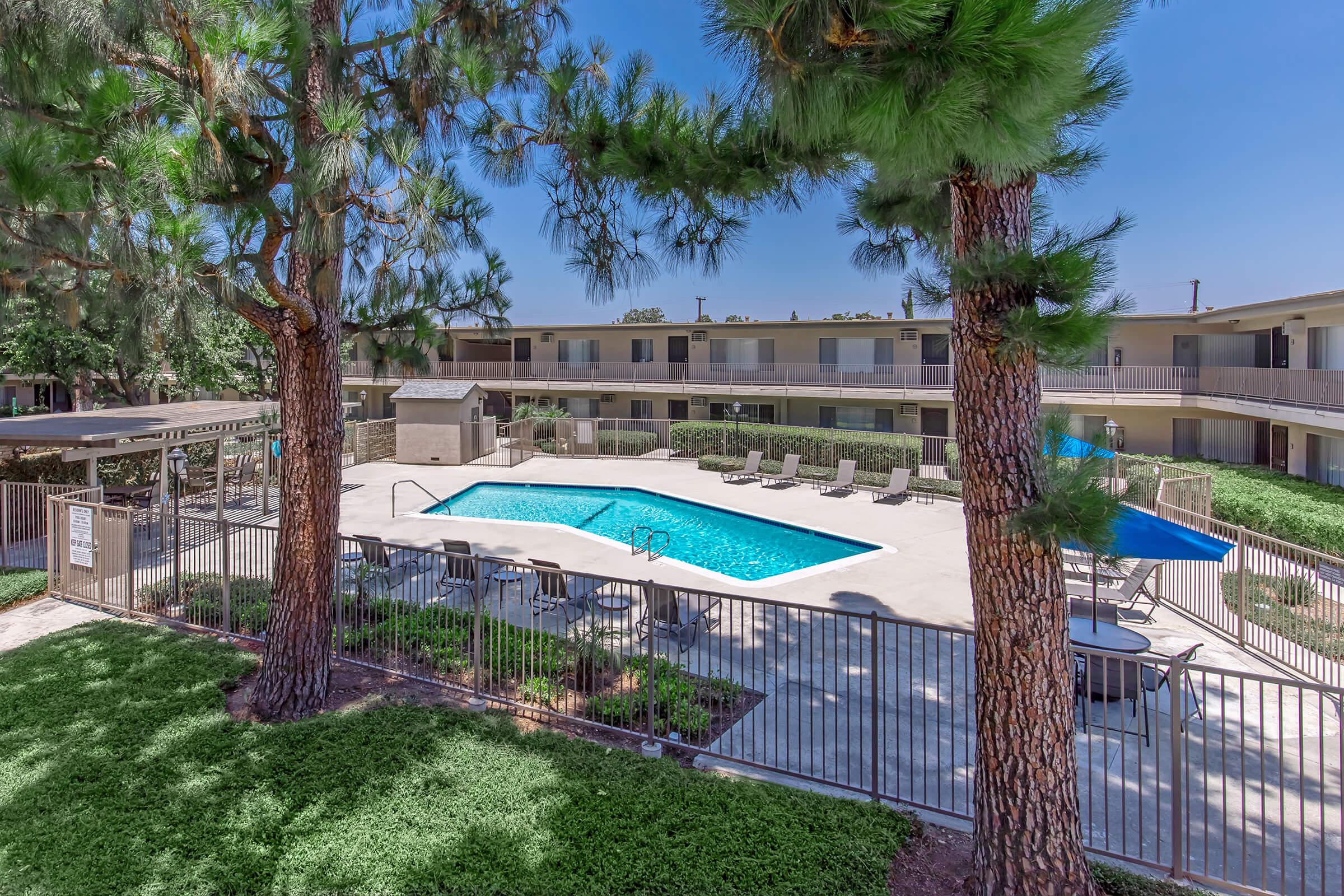 A view of a swimming pool surrounded by green lawns and trees, with lounge chairs arranged around the pool area. The pool is clear blue, and there are apartment buildings in the background. The scene is bright and sunny, conveying a relaxing outdoor atmosphere.
