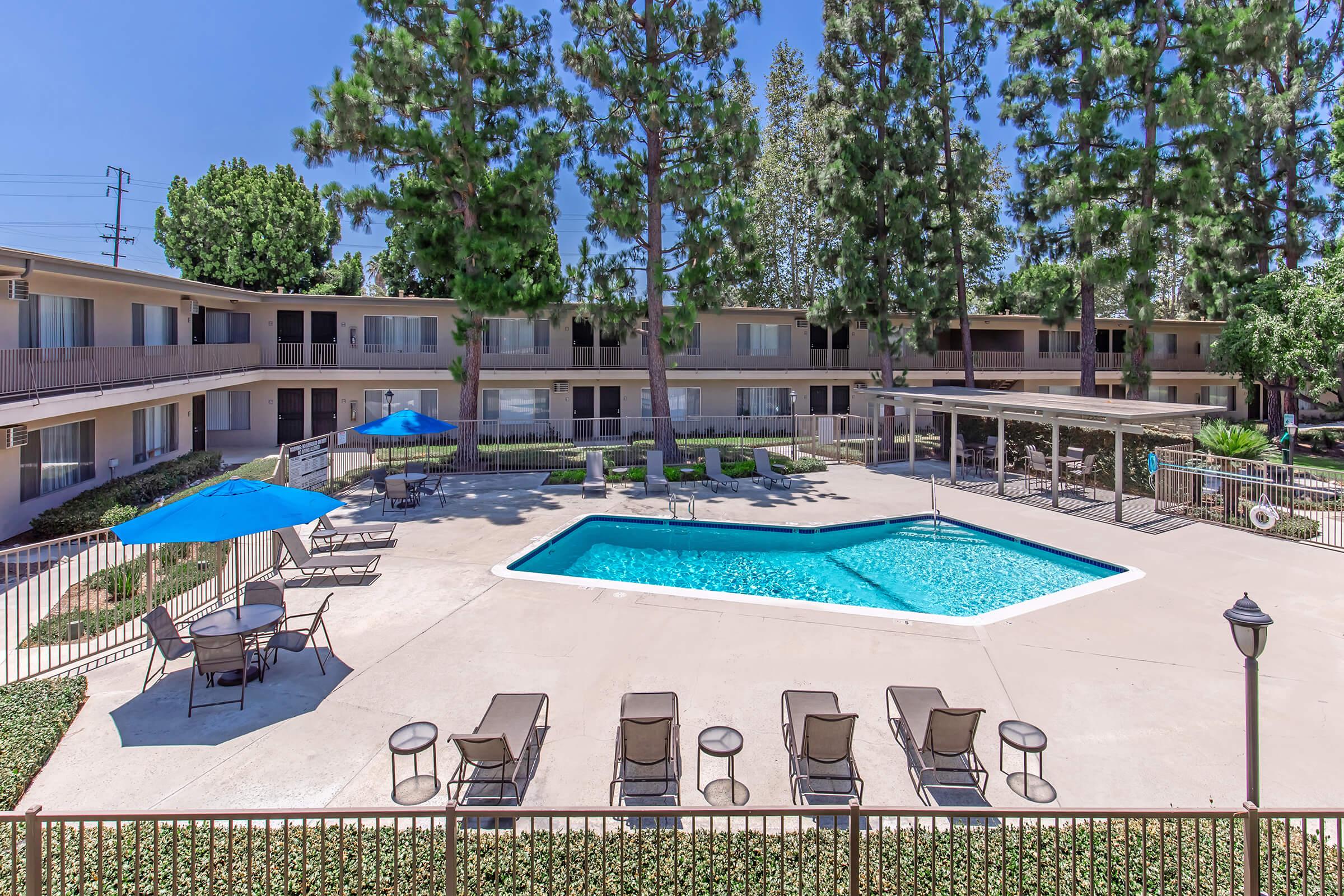 A view of a rectangular swimming pool surrounded by lounge chairs and umbrellas, with landscaped areas and tall trees nearby. The pool area is part of a multi-story building with balconies overlooking the pool, set against a clear blue sky.