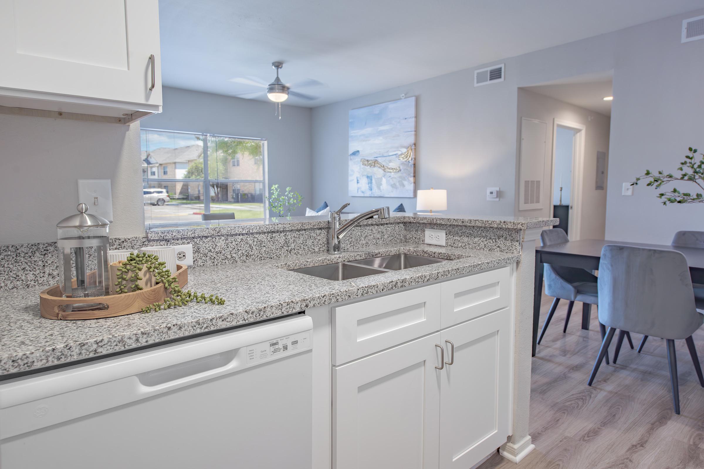 A modern kitchen featuring white cabinetry, a granite countertop, and a stainless steel sink. A dishwasher is visible next to the sink, with a small succulent plant on a wooden tray. In the background, a dining area with gray chairs and a light-colored wall is seen, along with a large window.