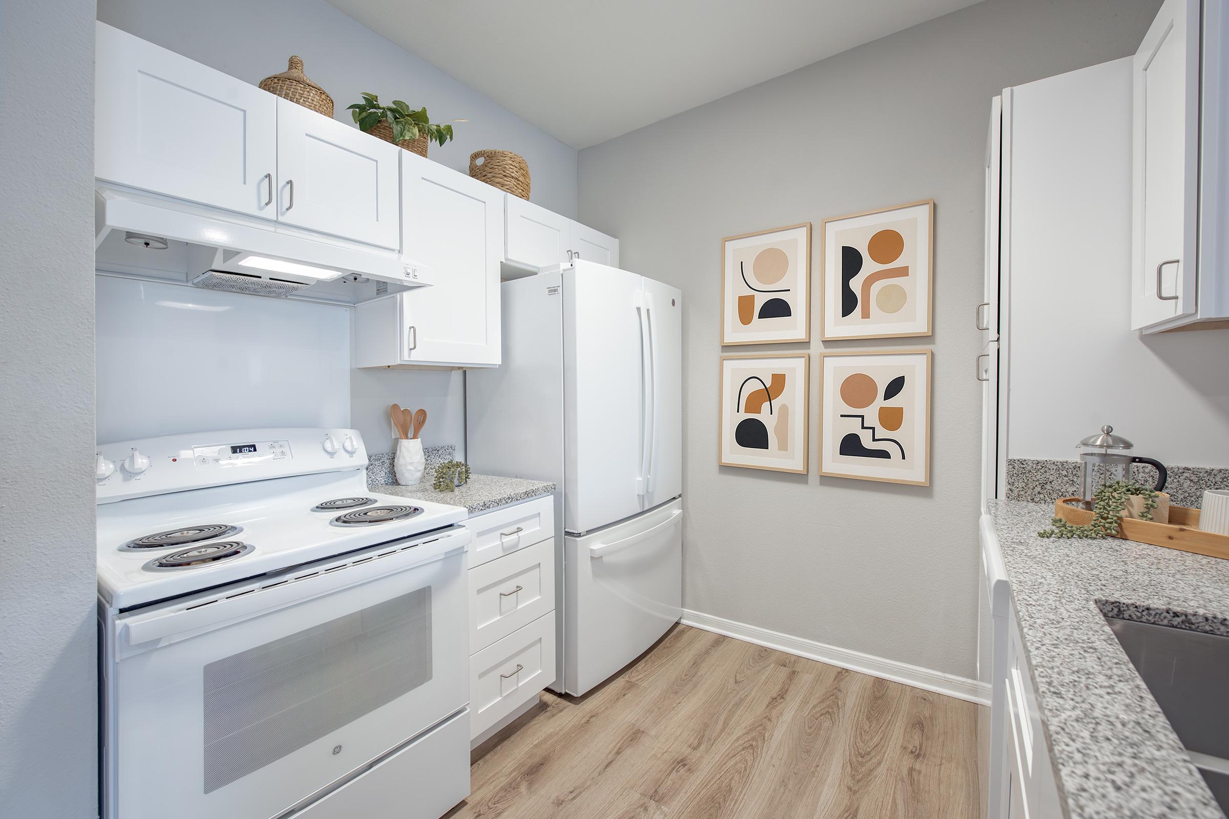 Modern kitchen featuring white cabinetry, a gray wall, and a contemporary design. Appliances include a stove, oven, and refrigerator. The countertop is made of granite, and there are decorative artworks with abstract designs on the wall. The space is bright and organized, with a touch of greenery.