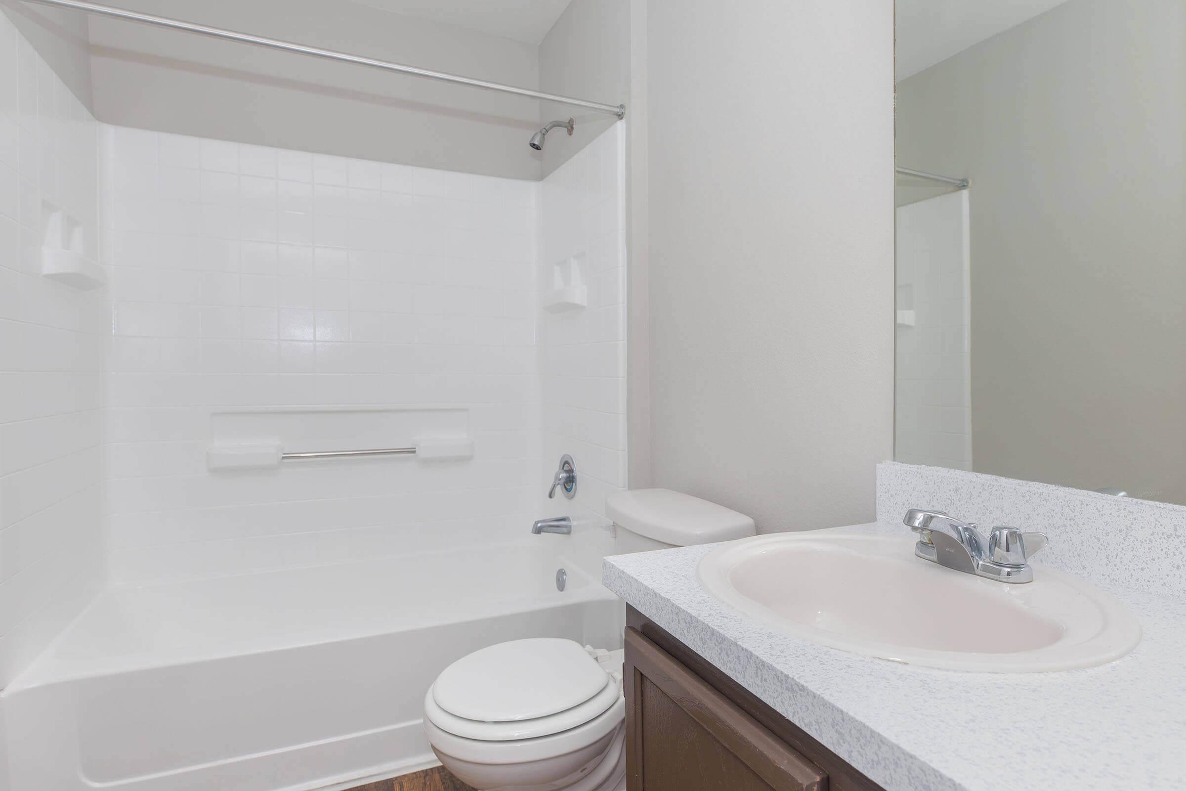 a shower that has a sink and a mirror