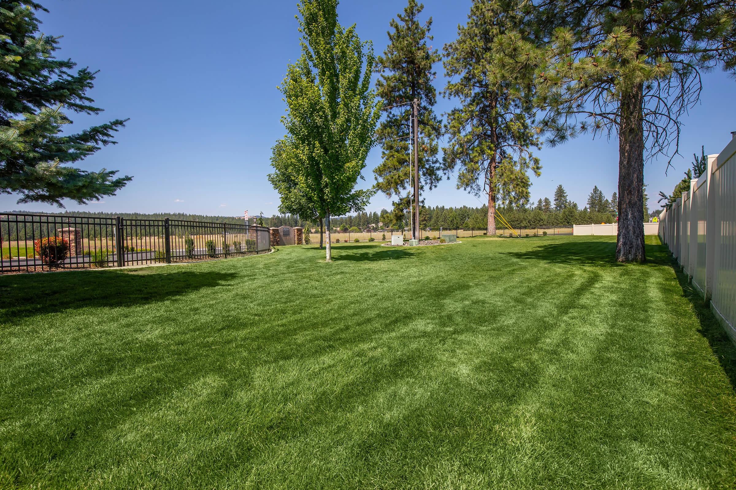 Off-Leash Dog Park