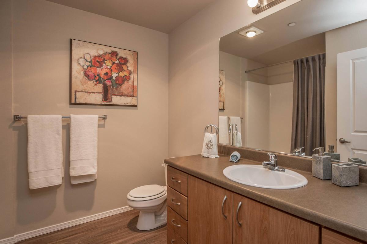 a double sink and large mirror